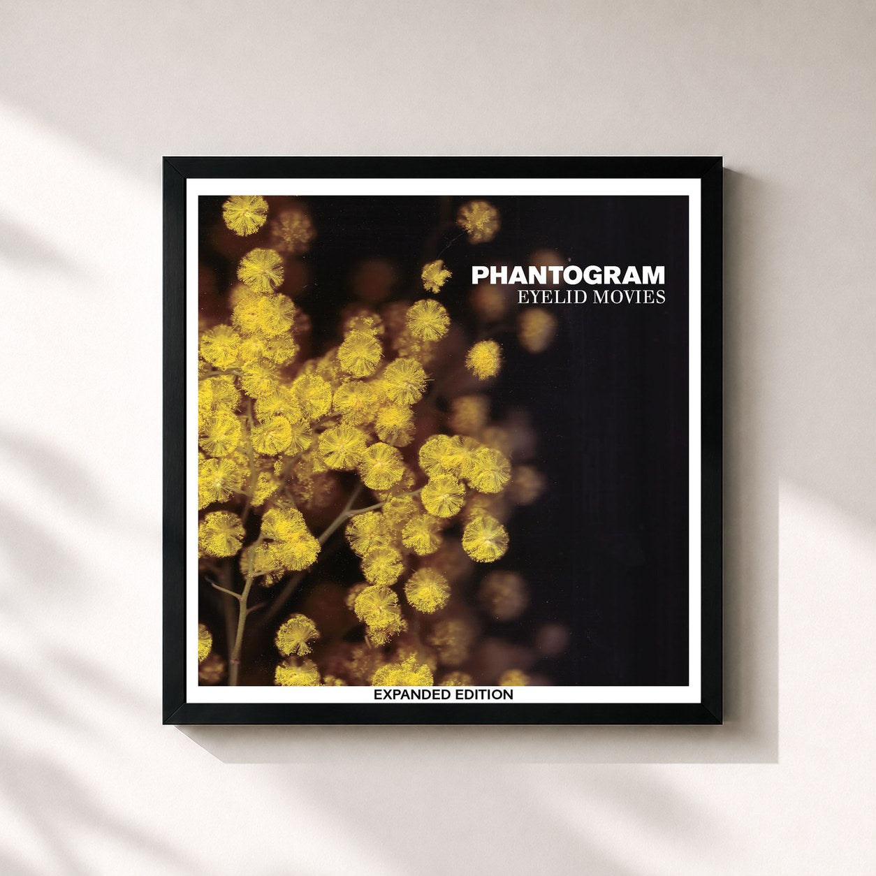 #noir Tableau carré de l'album Eyelid Movies (Expanded Edition) de PHANTOGRAM, cadre noir 32x32 cm