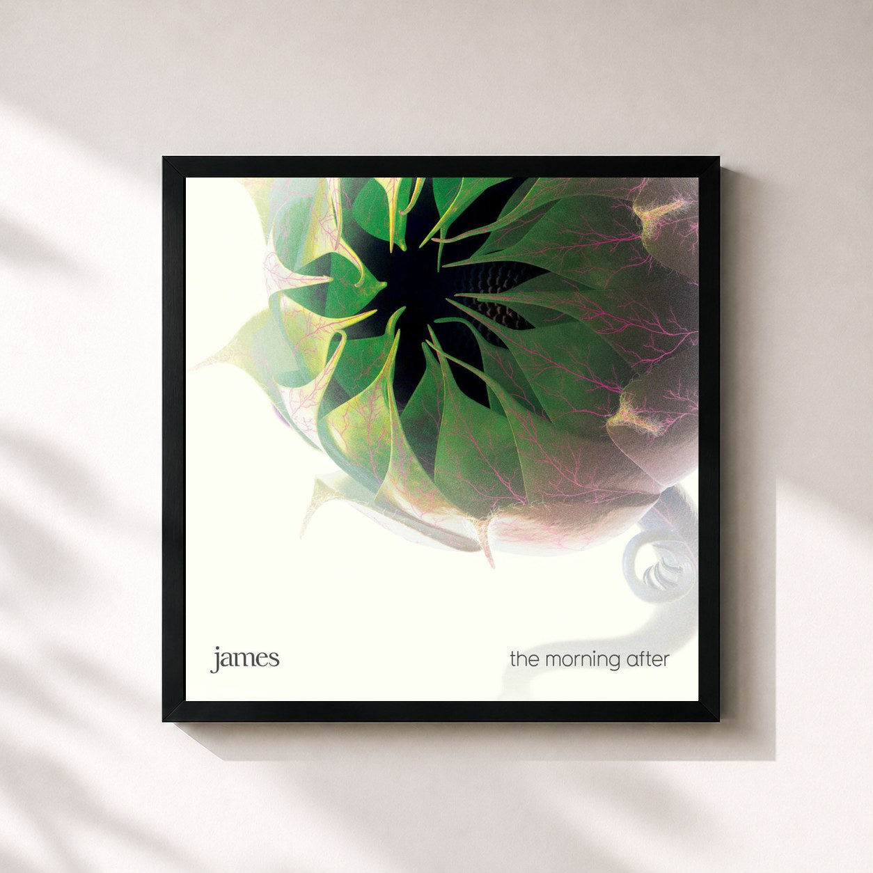 #noir Tableau carré de l'album The Morning After de James, cadre noir 32x32 cm