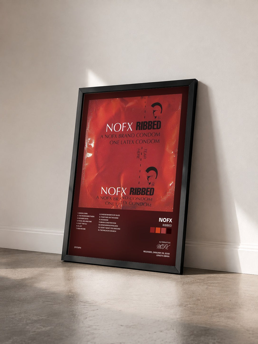 #noir Tableau de l'album Ribbed de NOFX vu de trois quarts, cadre noir