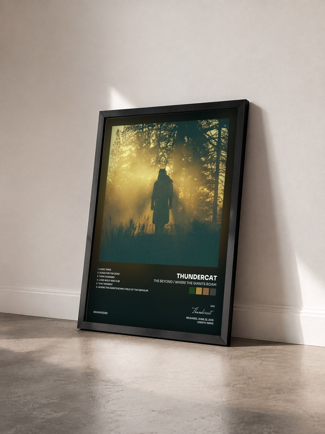 #noir Tableau de l'album The Beyond / Where the Giants Roam de Thundercat vu de trois quarts, cadre noir