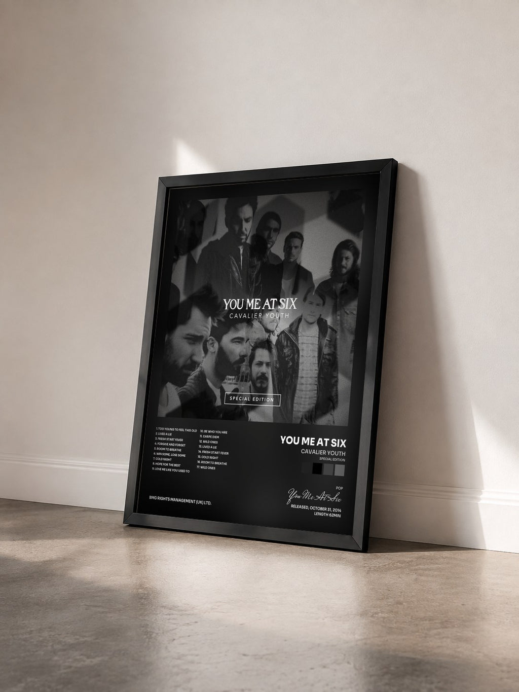 #noir Tableau de l'album Cavalier Youth (Special Edition) de You Me At Six vu de trois quarts, cadre noir