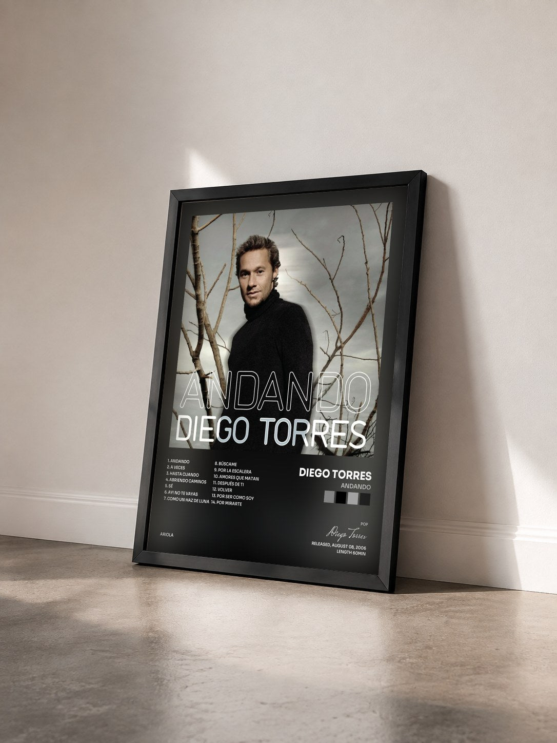 #noir Tableau de l'album Andando de Diego Torres vu de trois quarts, cadre noir