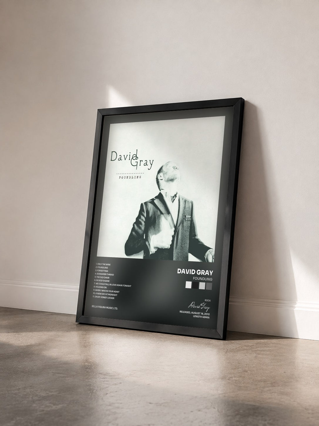 #noir Tableau de l'album Foundling de David Gray vu de trois quarts, cadre noir