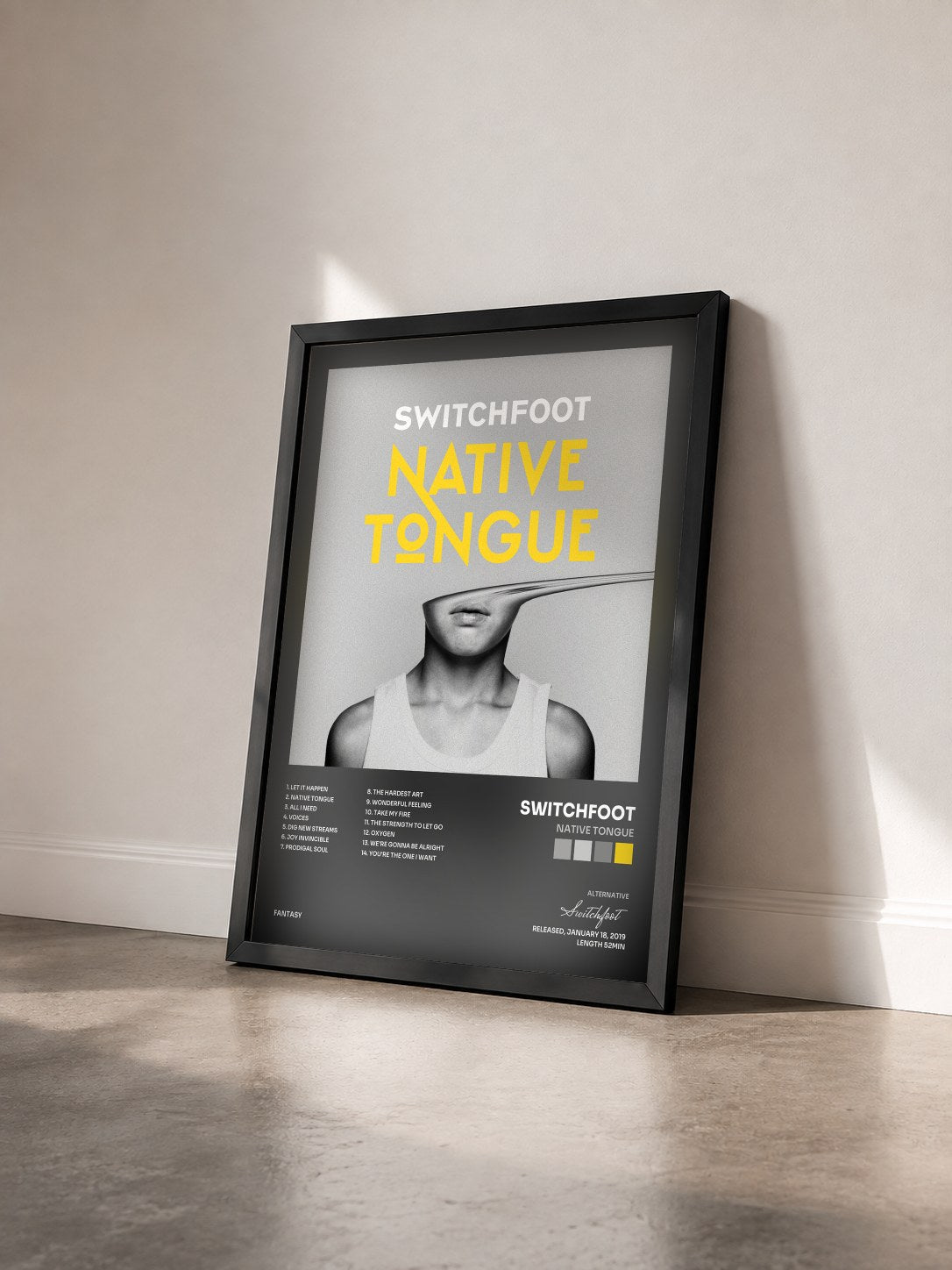 #noir Tableau de l'album NATIVE TONGUE de Switchfoot vu de trois quarts, cadre noir