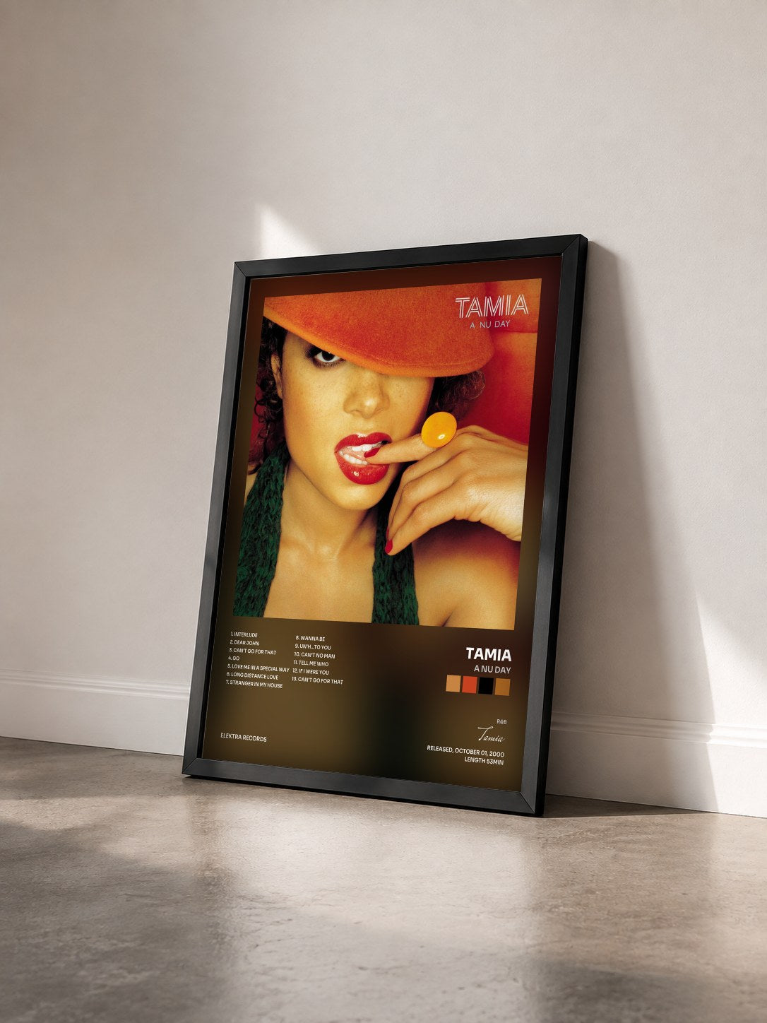 #noir Tableau de l'album A Nu Day de Tamia vu de trois quarts, cadre noir