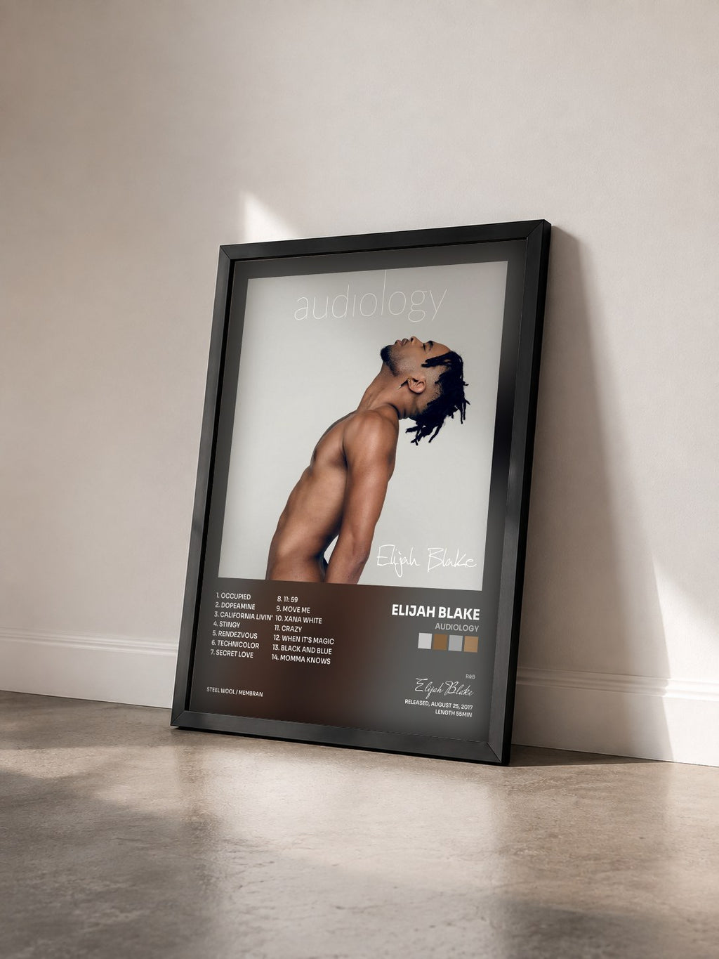 #noir Tableau de l'album Audiology de Elijah Blake vu de trois quarts, cadre noir