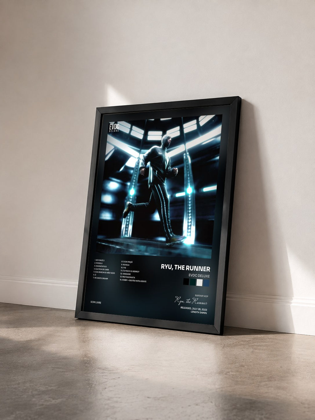 #noir Tableau de l'album EVDC DELUXE de Ryu, the Runner vu de trois quarts, cadre noir