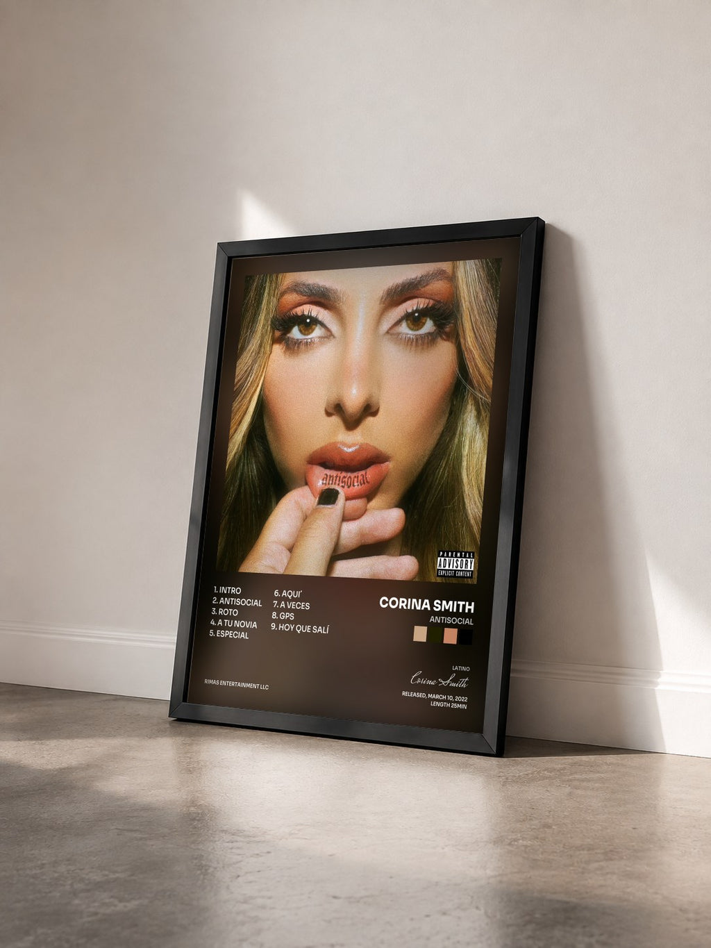 #noir Tableau de l'album Antisocial de Corina Smith vu de trois quarts, cadre noir