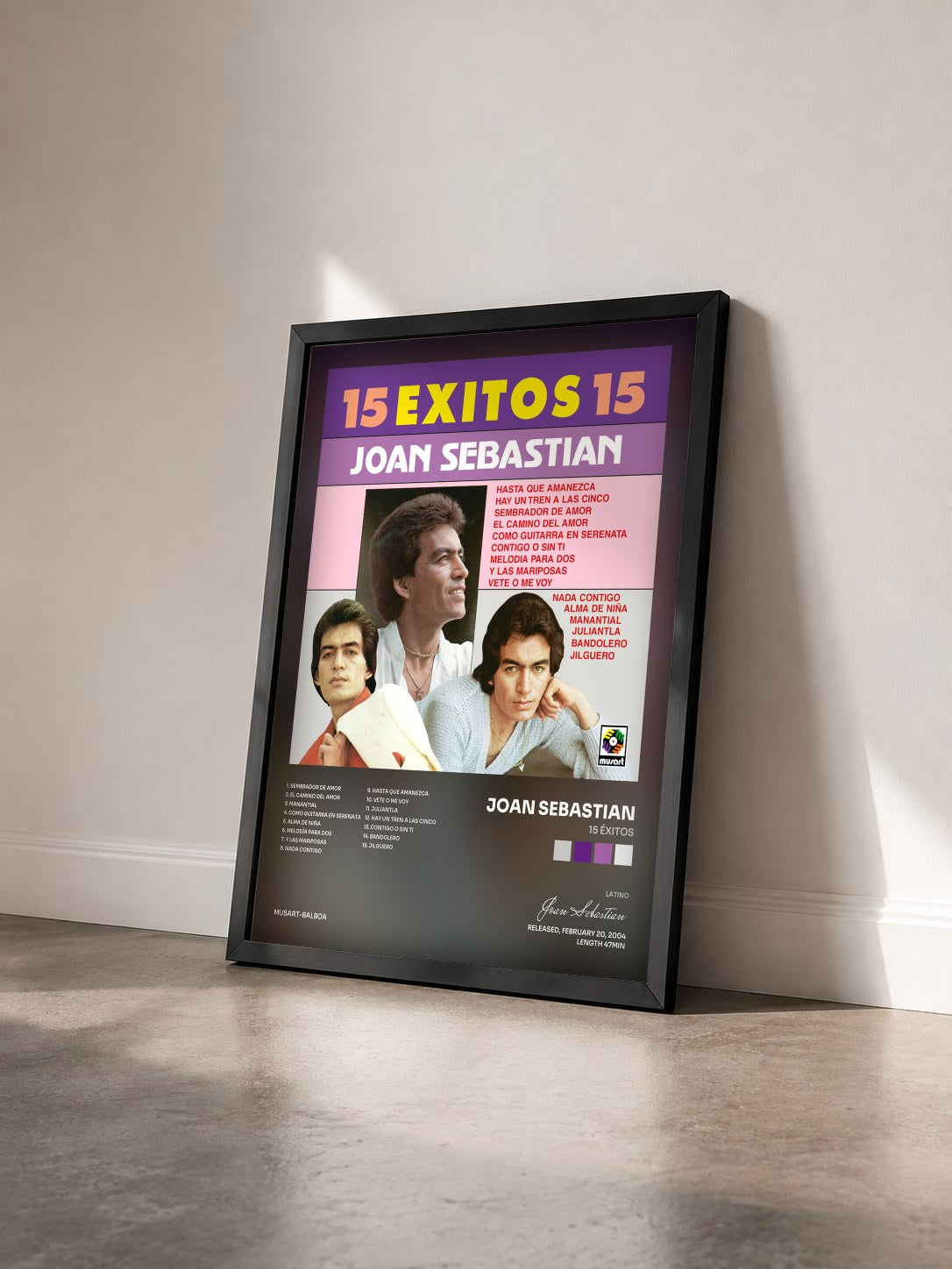 #noir Tableau de l'album 15 Éxitos de Joan Sebastian vu de trois quarts, cadre noir