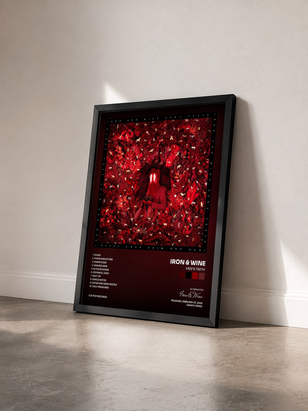 #noir Tableau de l'album Hen's Teeth de Iron & Wine vu de trois quarts, cadre noir