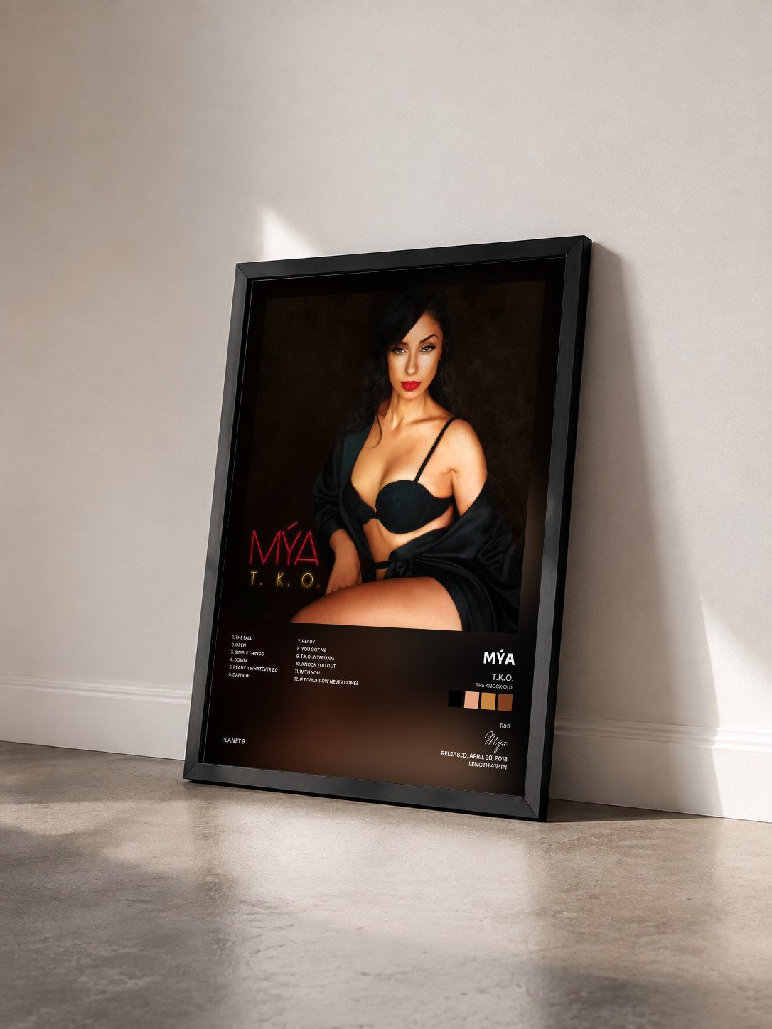 #noir Tableau de l'album T.K.O. (The Knock Out) de Mýa vu de trois quarts, cadre noir
