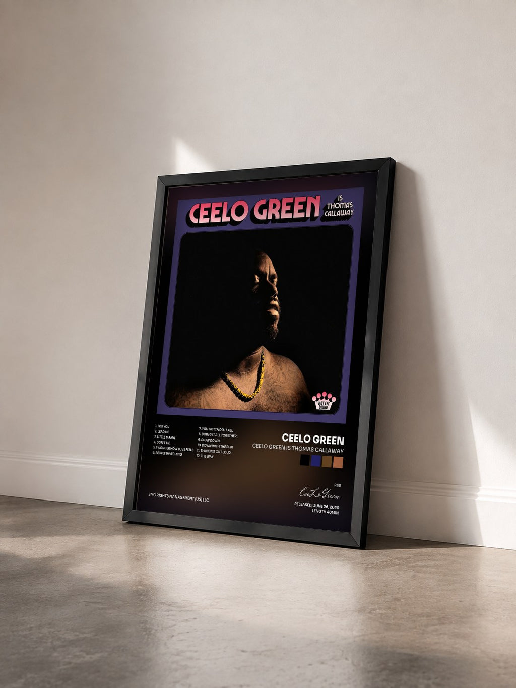 #noir Tableau de l'album CeeLo Green is Thomas Callaway de CeeLo Green vu de trois quarts, cadre noir