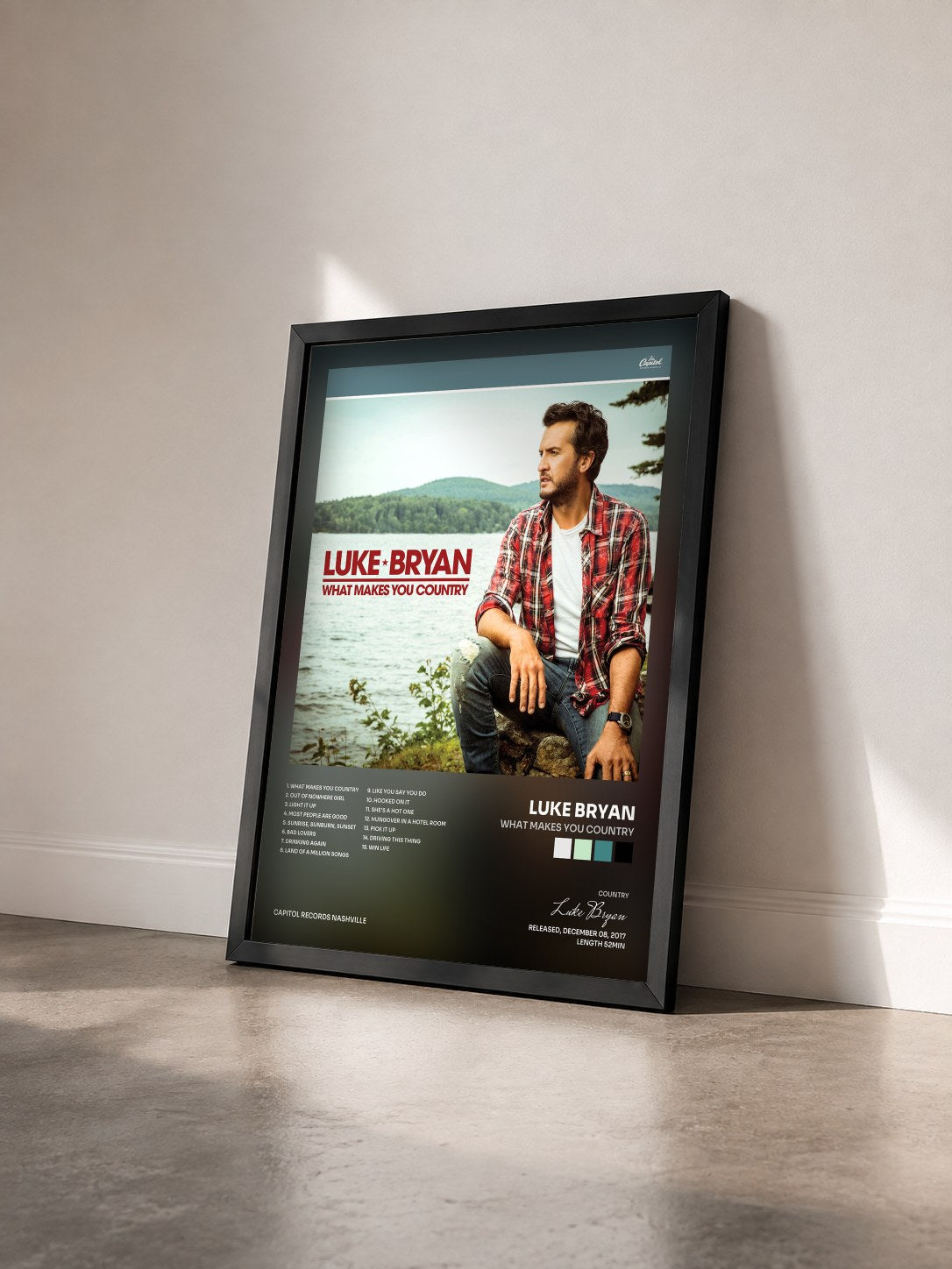 #noir Tableau de l'album What Makes You Country de Luke Bryan vu de trois quarts, cadre noir