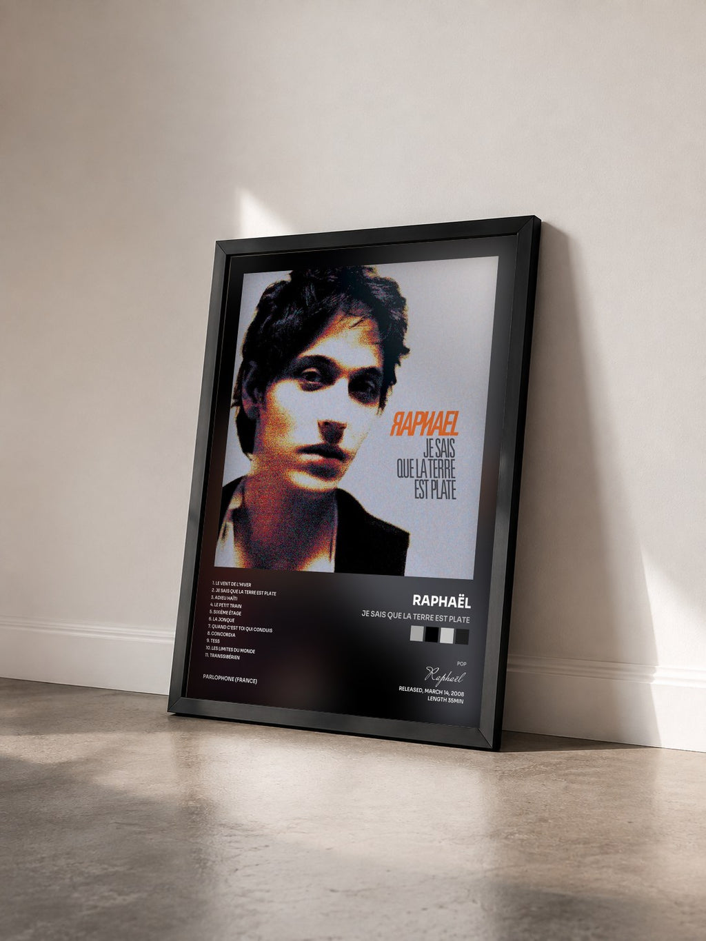 #noir Tableau de l'album Je Sais Que La Terre Est Plate de Raphaël vu de trois quarts, cadre noir