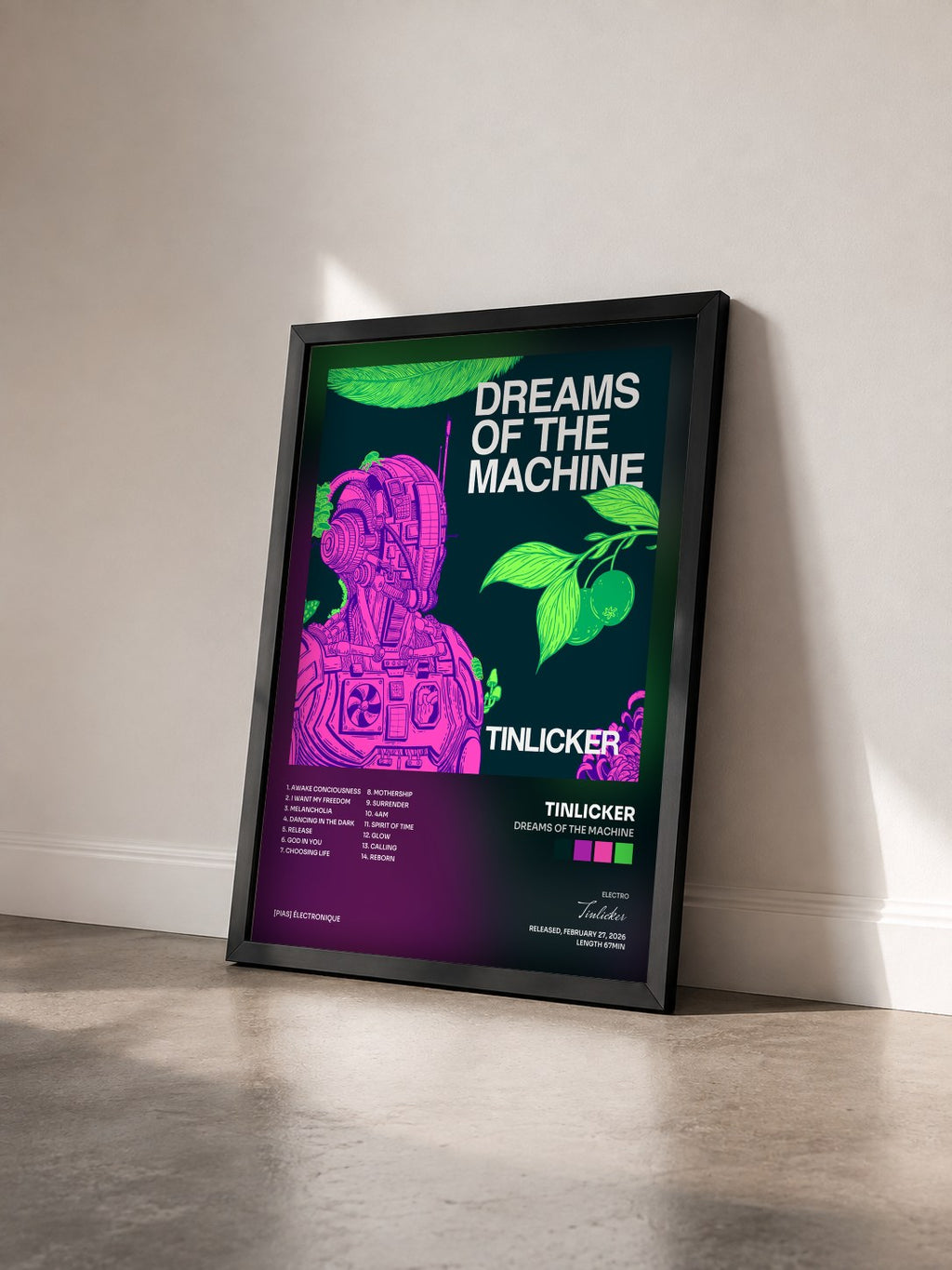 #noir Tableau de l'album Dreams Of The Machine de Tinlicker vu de trois quarts, cadre noir