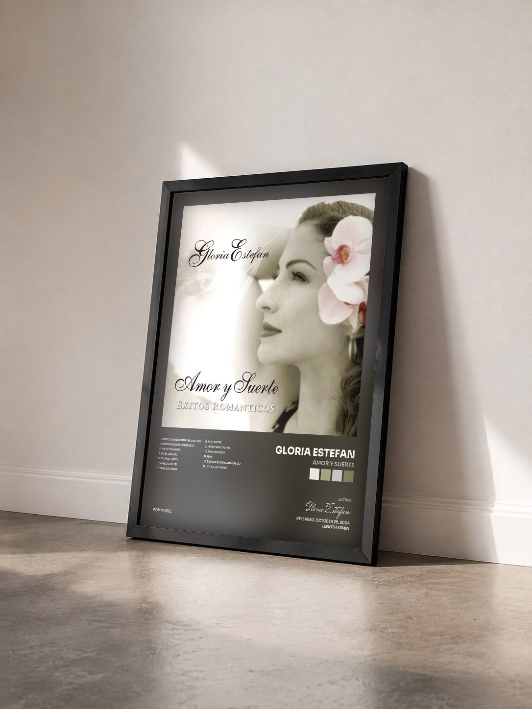 #noir Tableau de l'album Amor Y Suerte de Gloria Estefan vu de trois quarts, cadre noir