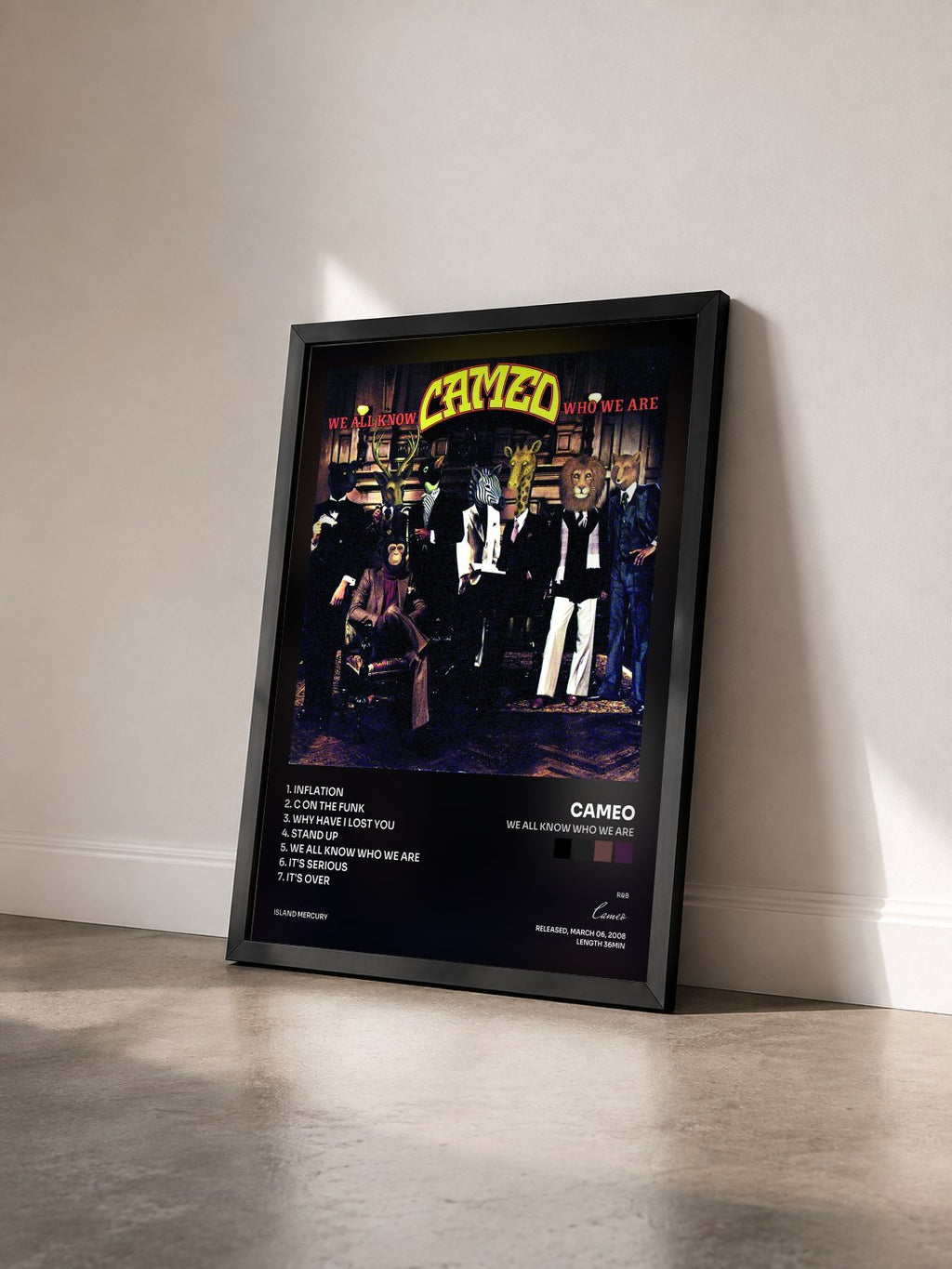 #noir Tableau de l'album We All Know Who We Are de Cameo vu de trois quarts, cadre noir