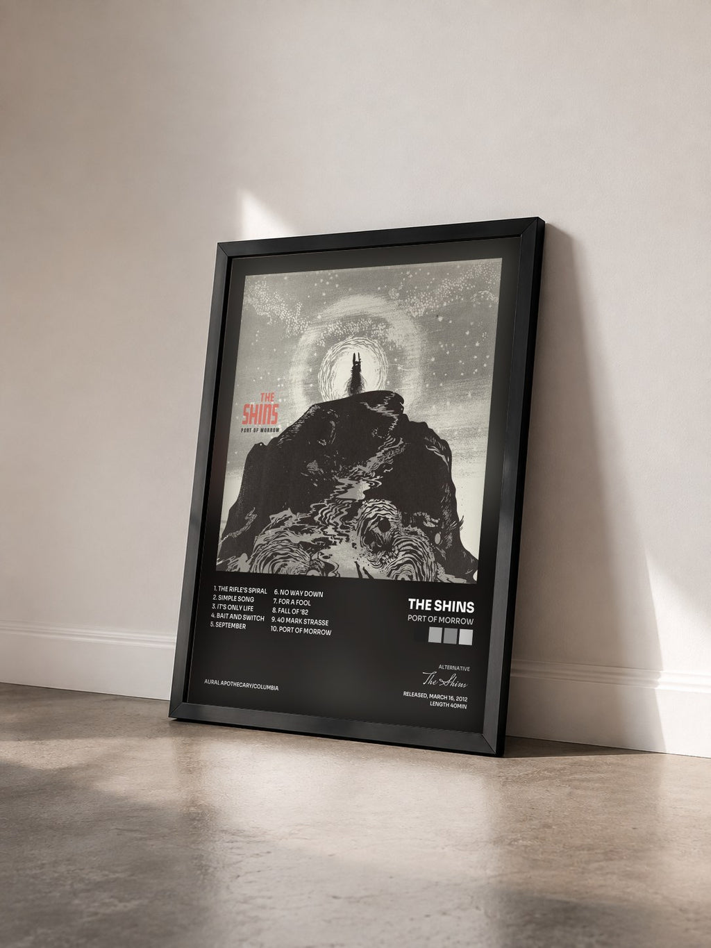 #noir Tableau de l'album Port Of Morrow de The Shins vu de trois quarts, cadre noir