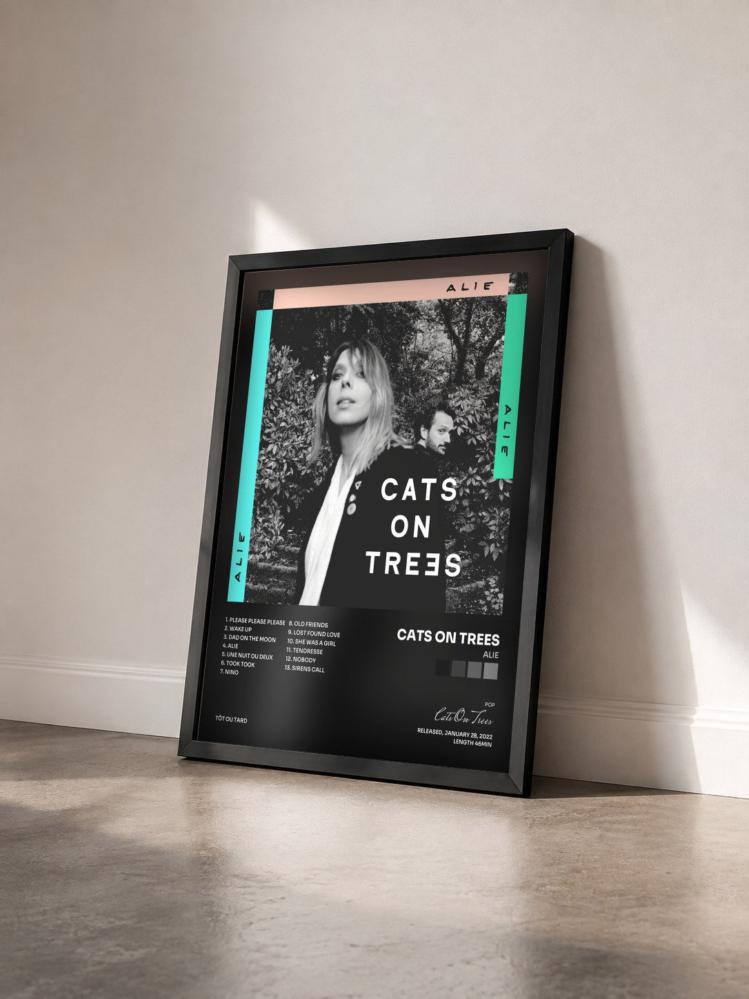 #noir Tableau de l'album Alie de Cats On Trees vu de trois quarts, cadre noir