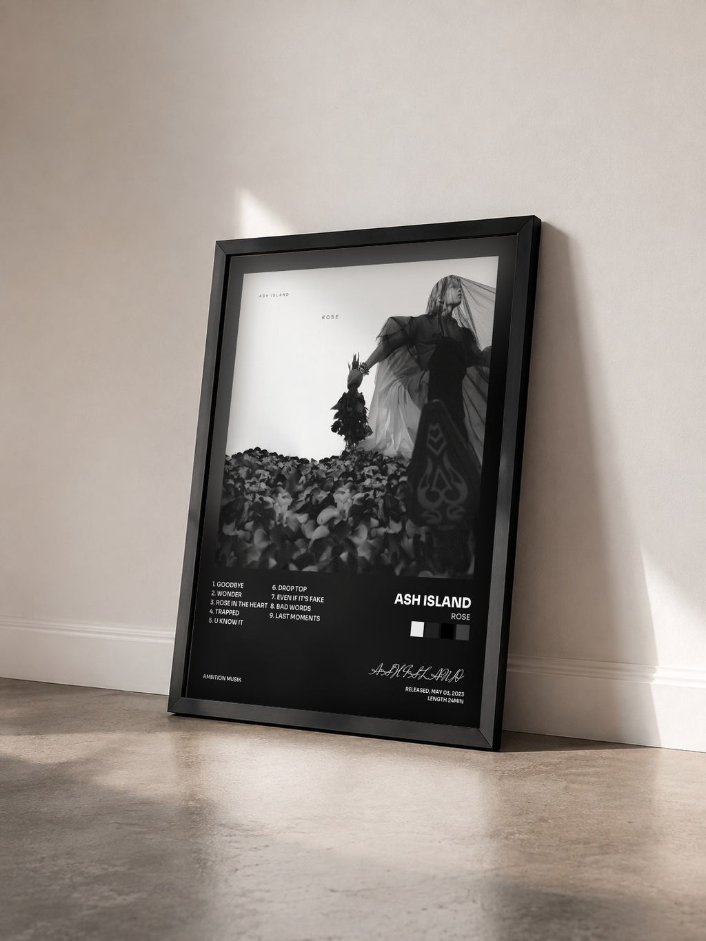 #noir Tableau de l'album ROSE de ASH ISLAND vu de trois quarts, cadre noir
