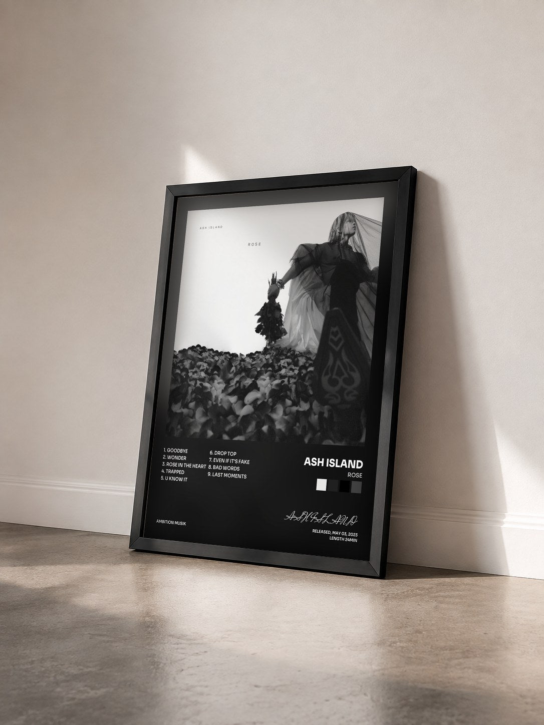 #noir Tableau de l'album ROSE de ASH ISLAND vu de trois quarts, cadre noir