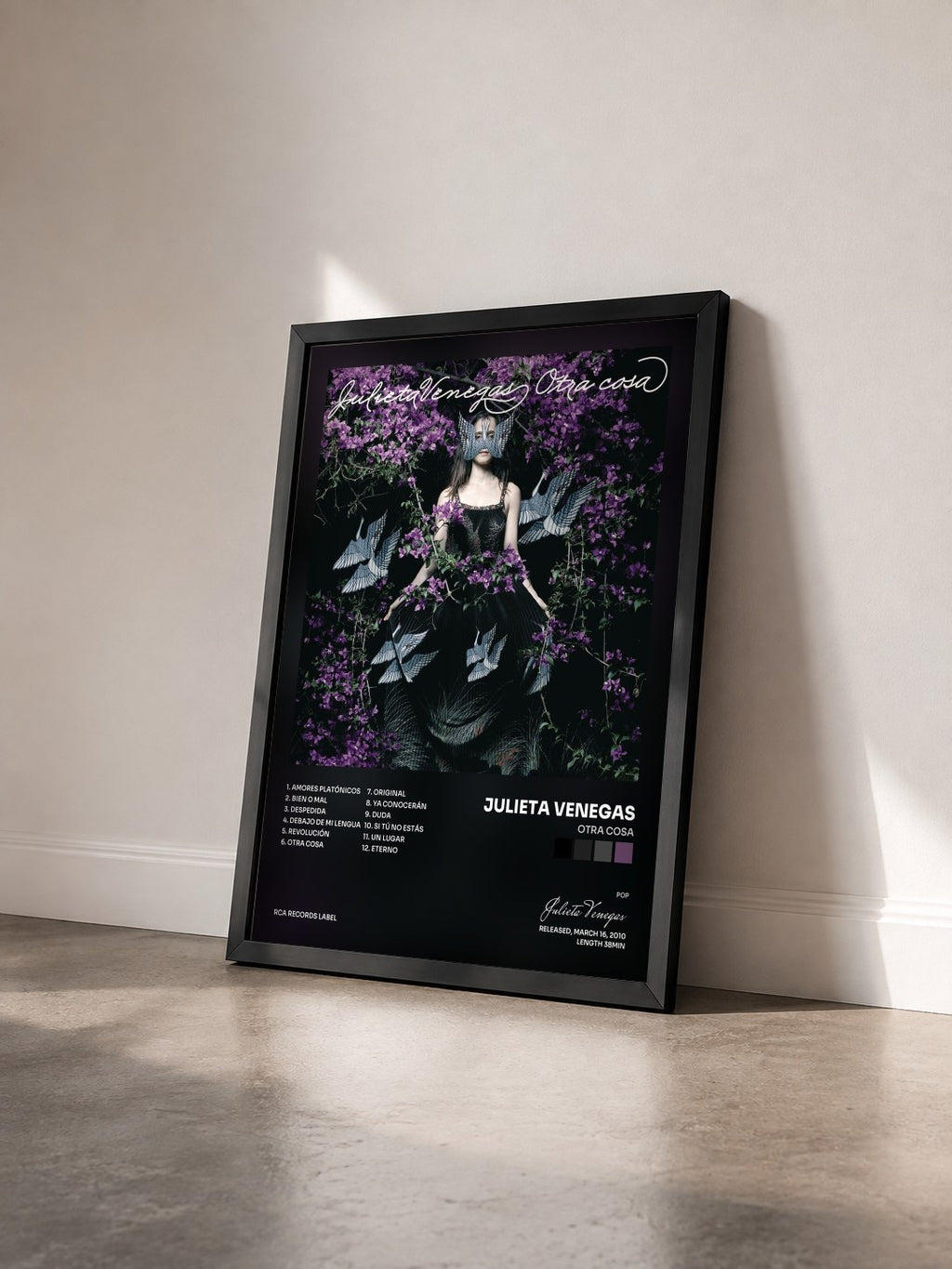 #noir Tableau de l'album Otra Cosa de Julieta Venegas vu de trois quarts, cadre noir