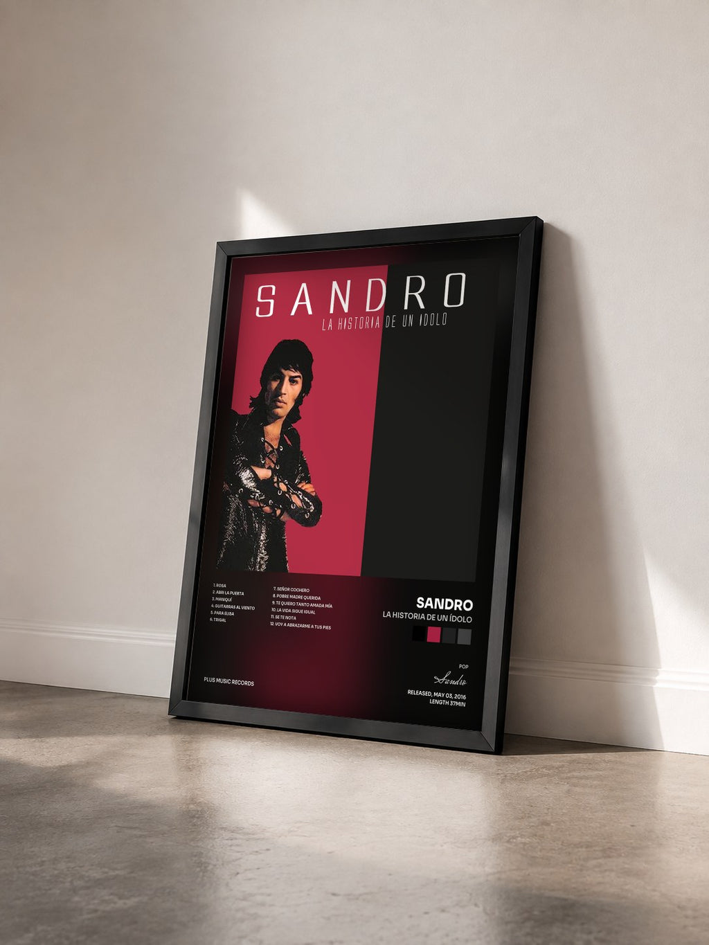 #noir Tableau de l'album La Historia de un Ídolo de Sandro vu de trois quarts, cadre noir