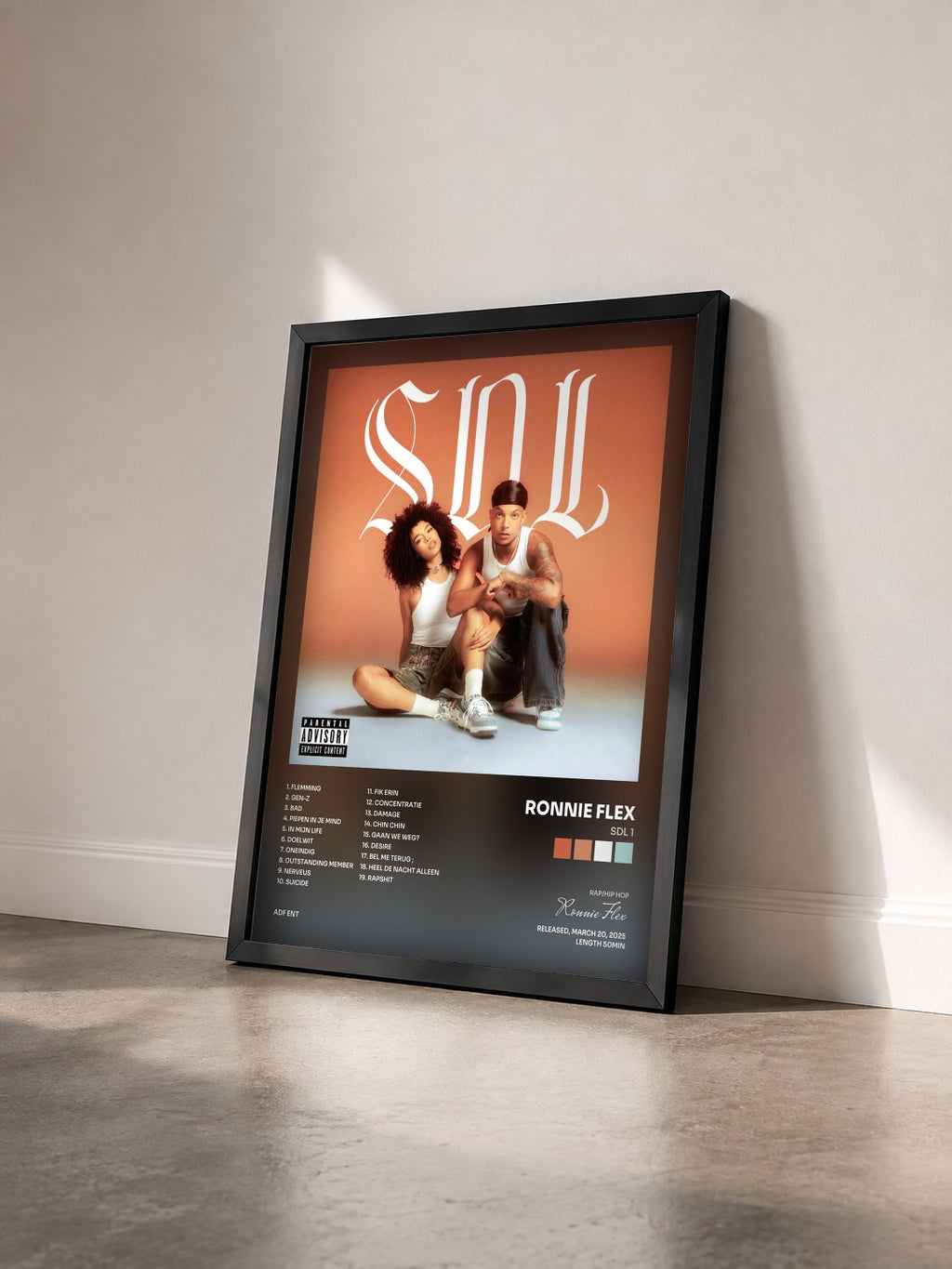 #noir Tableau de l'album SDL 1 de Ronnie Flex vu de trois quarts, cadre noir