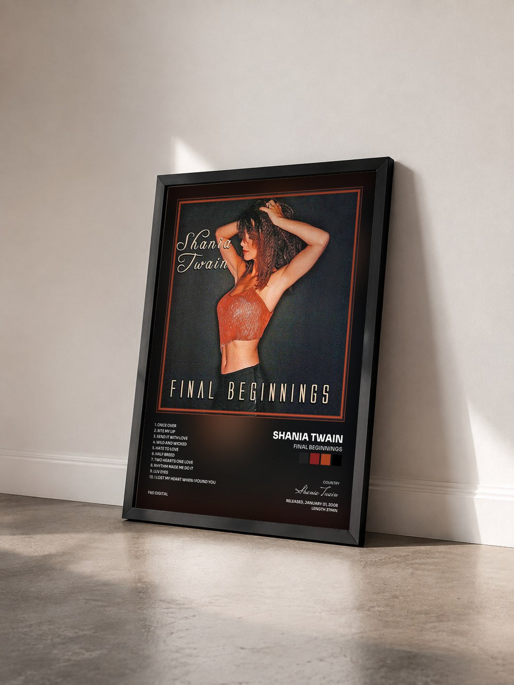 #noir Tableau de l'album Final Beginnings de Shania Twain vu de trois quarts, cadre noir