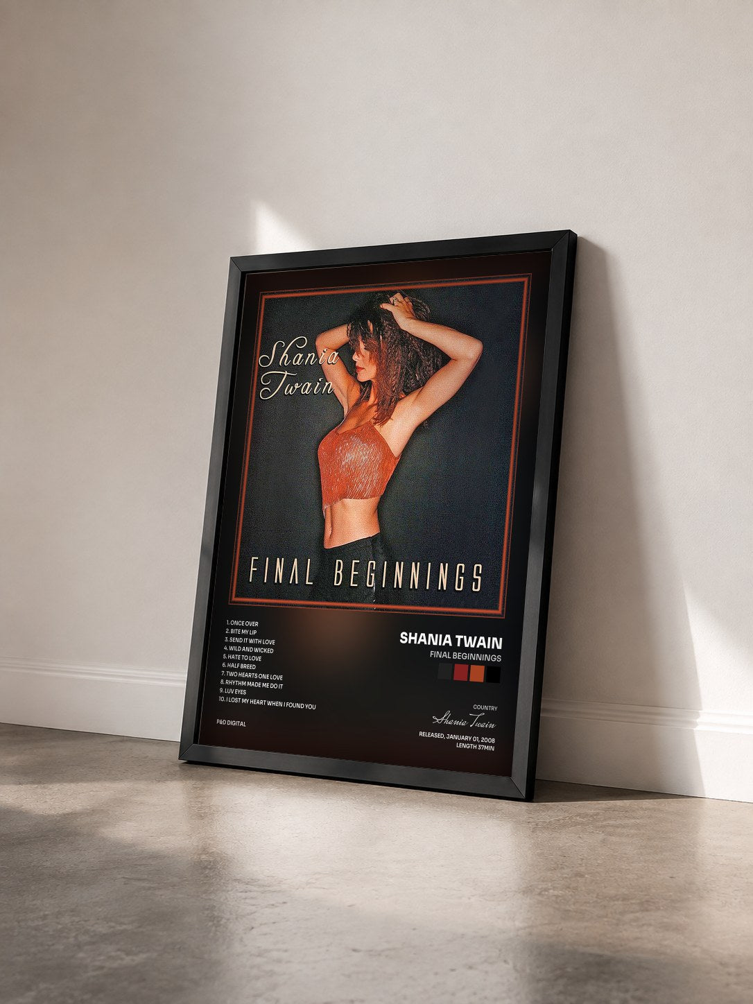 #noir Tableau de l'album Final Beginnings de Shania Twain vu de trois quarts, cadre noir