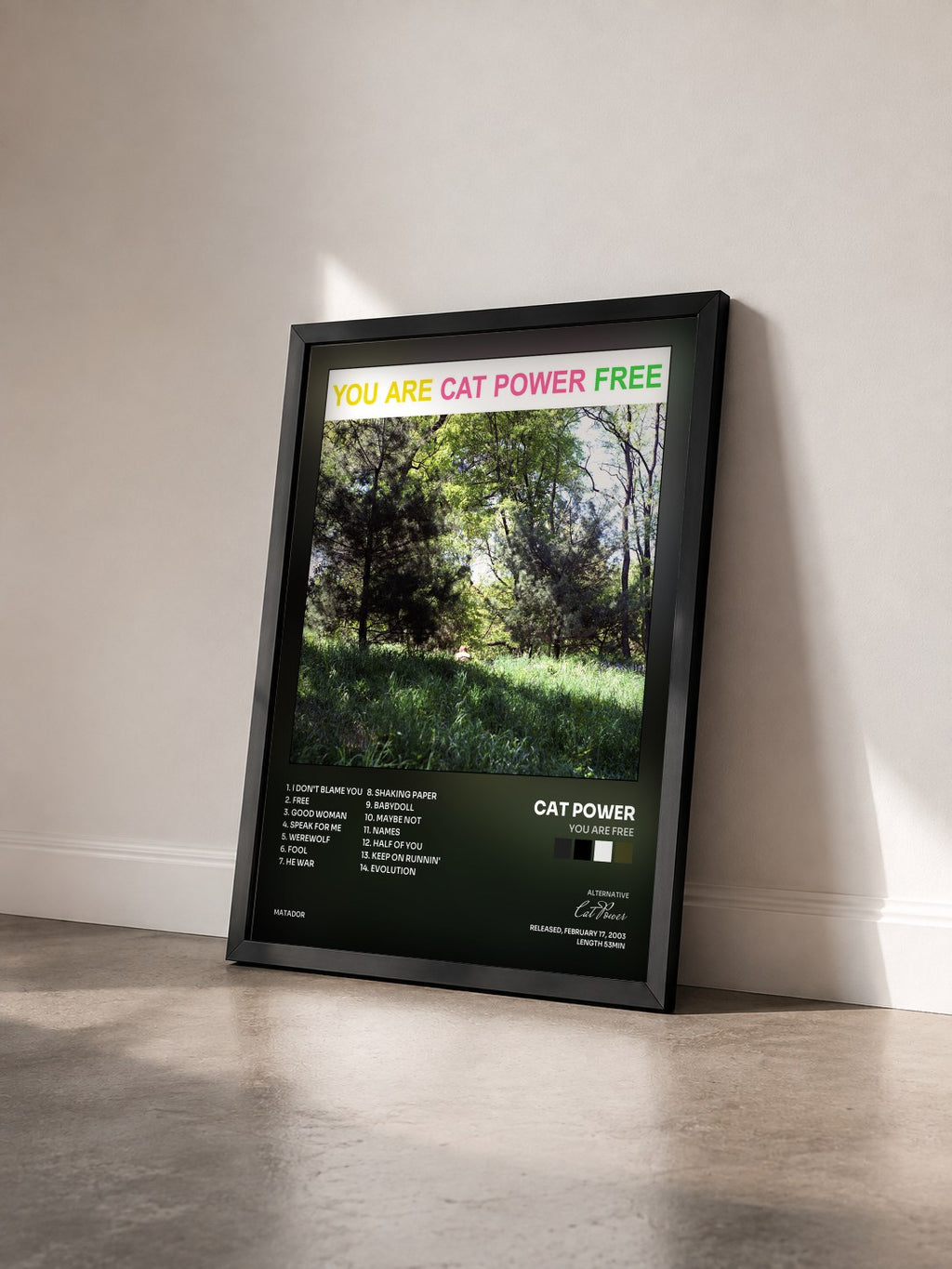 #noir Tableau de l'album You Are Free de Cat Power vu de trois quarts, cadre noir
