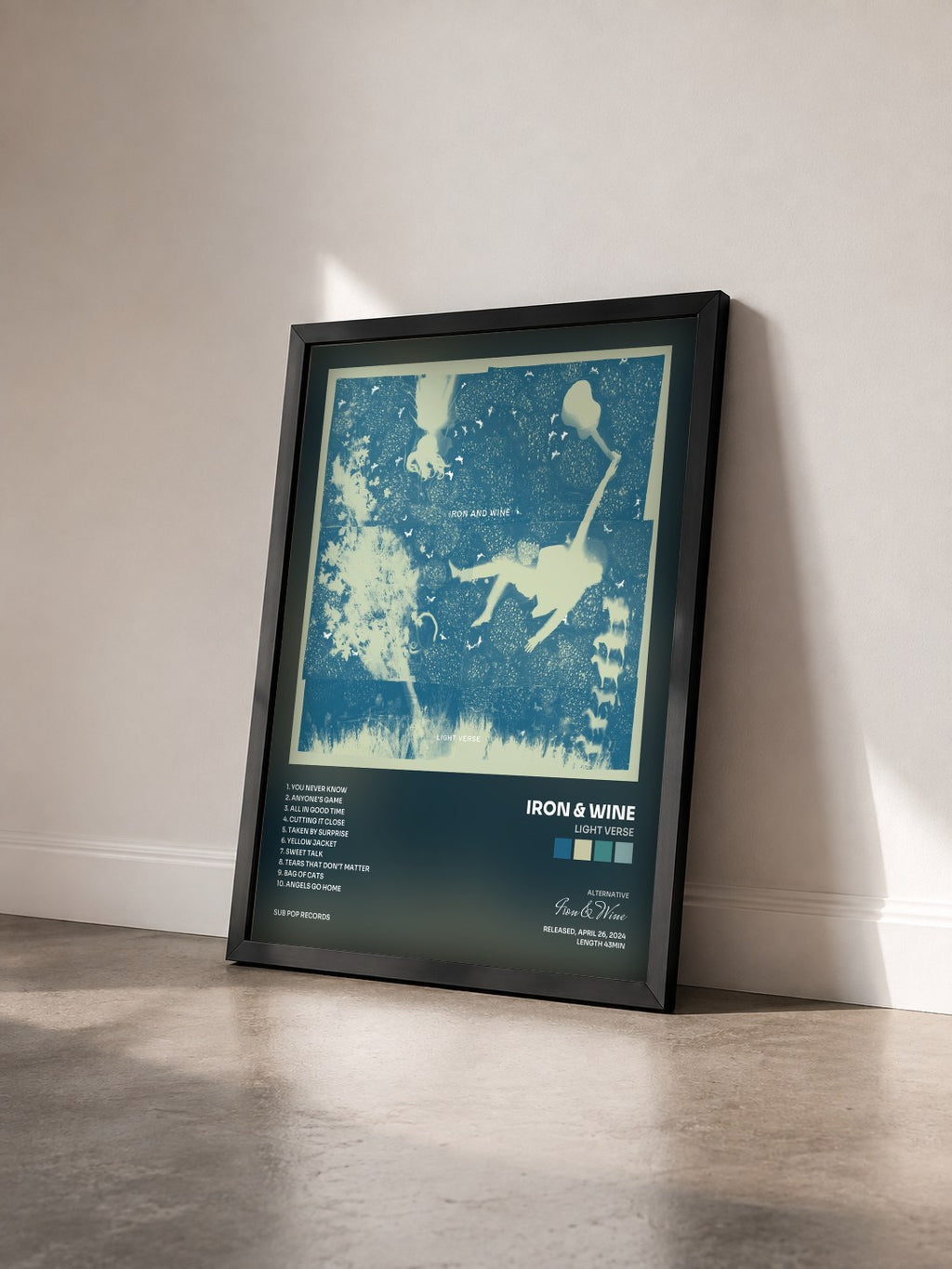 #noir Tableau de l'album Light Verse de Iron & Wine vu de trois quarts, cadre noir
