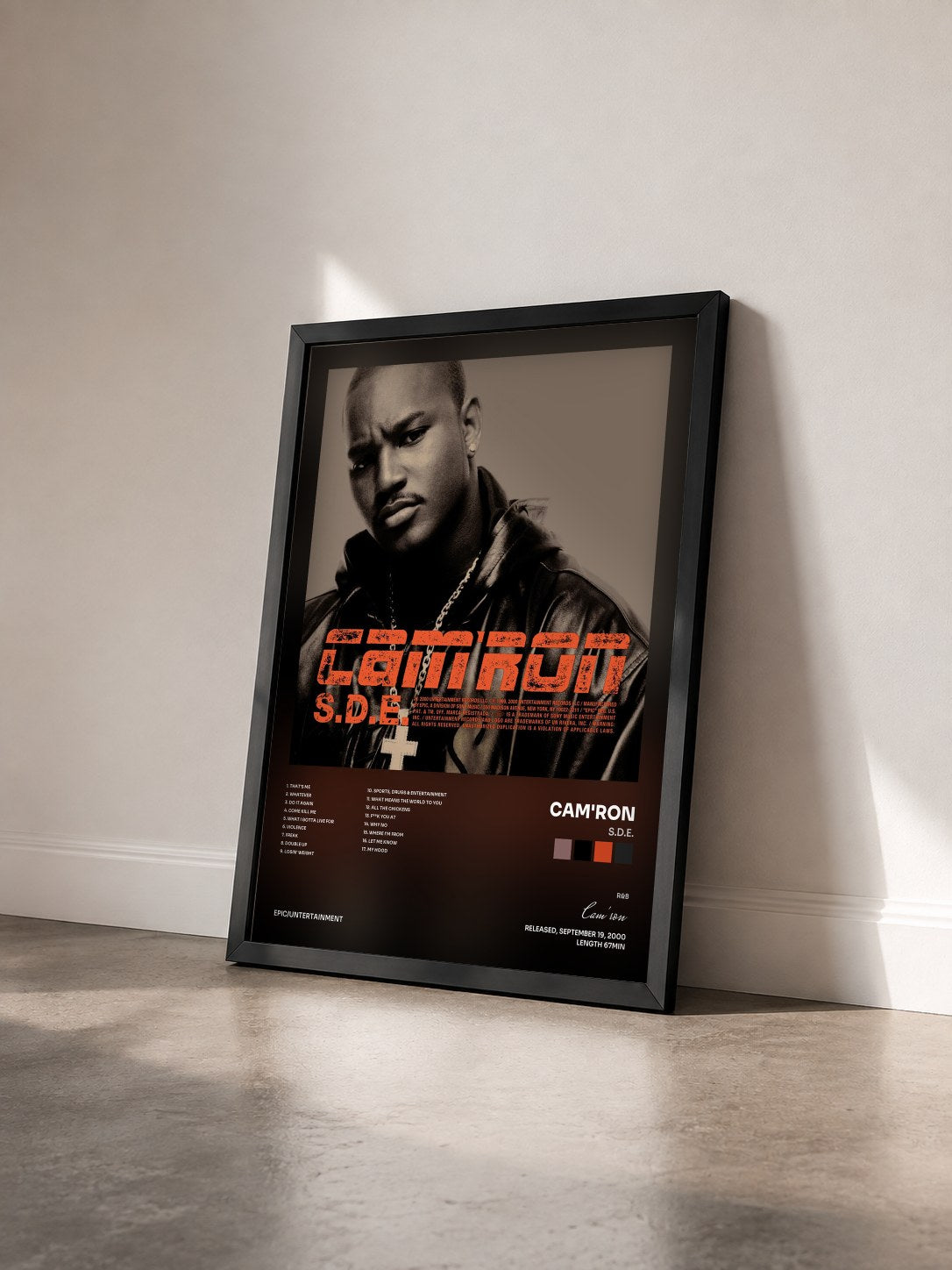 #noir Tableau de l'album S.D.E. de Cam'ron vu de trois quarts, cadre noir