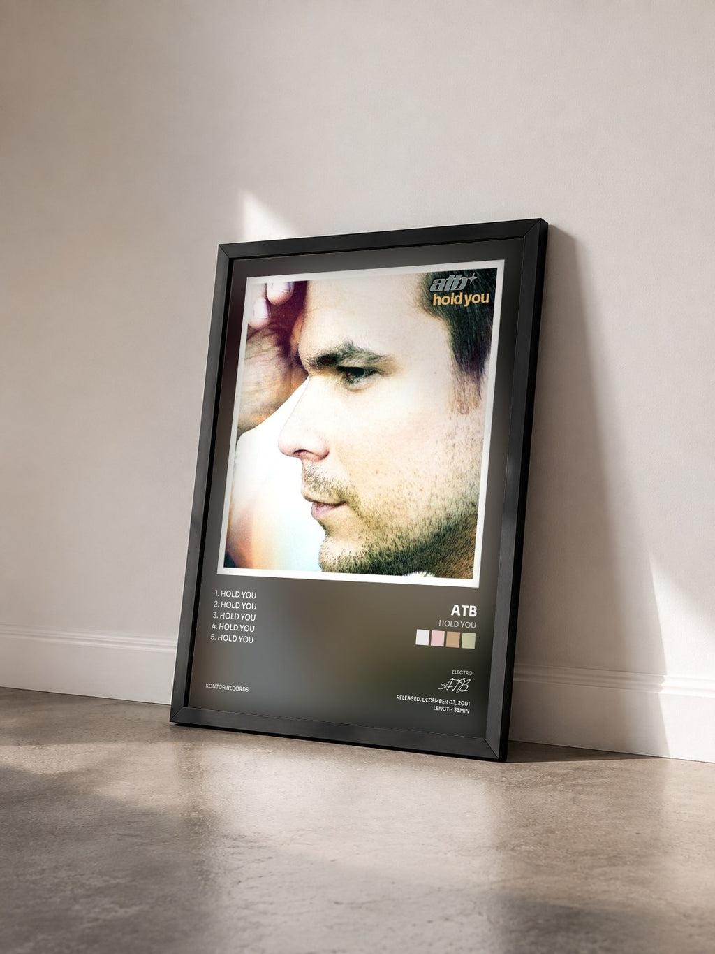 #noir Tableau de l'album Hold You de ATB vu de trois quarts, cadre noir