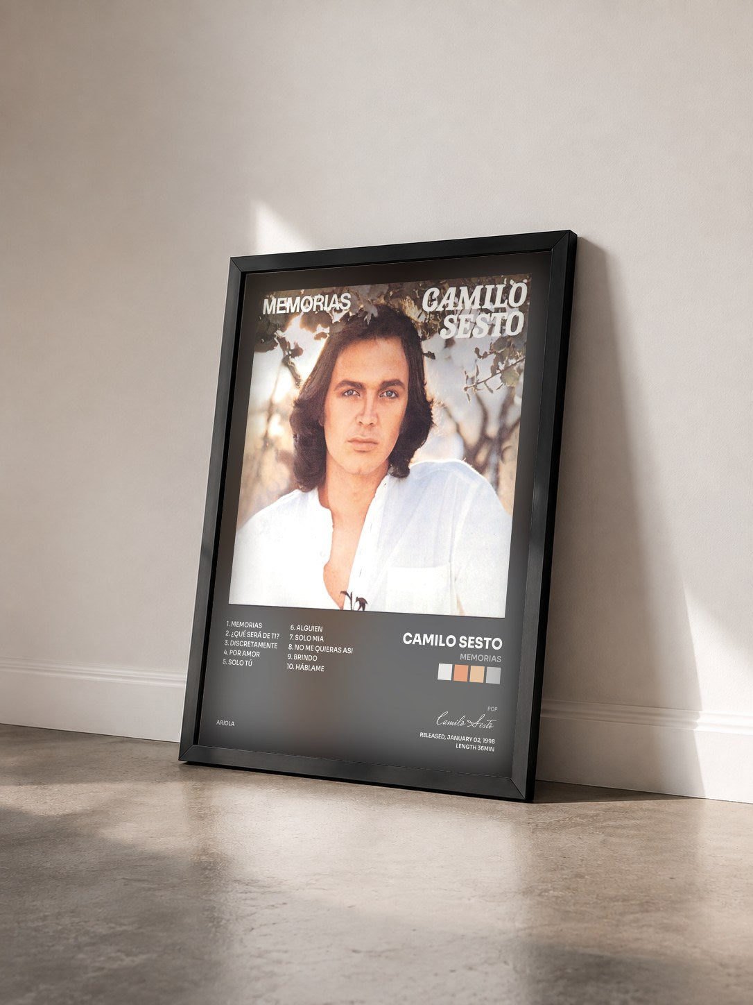 #noir Tableau de l'album Memorias de Camilo Sesto vu de trois quarts, cadre noir