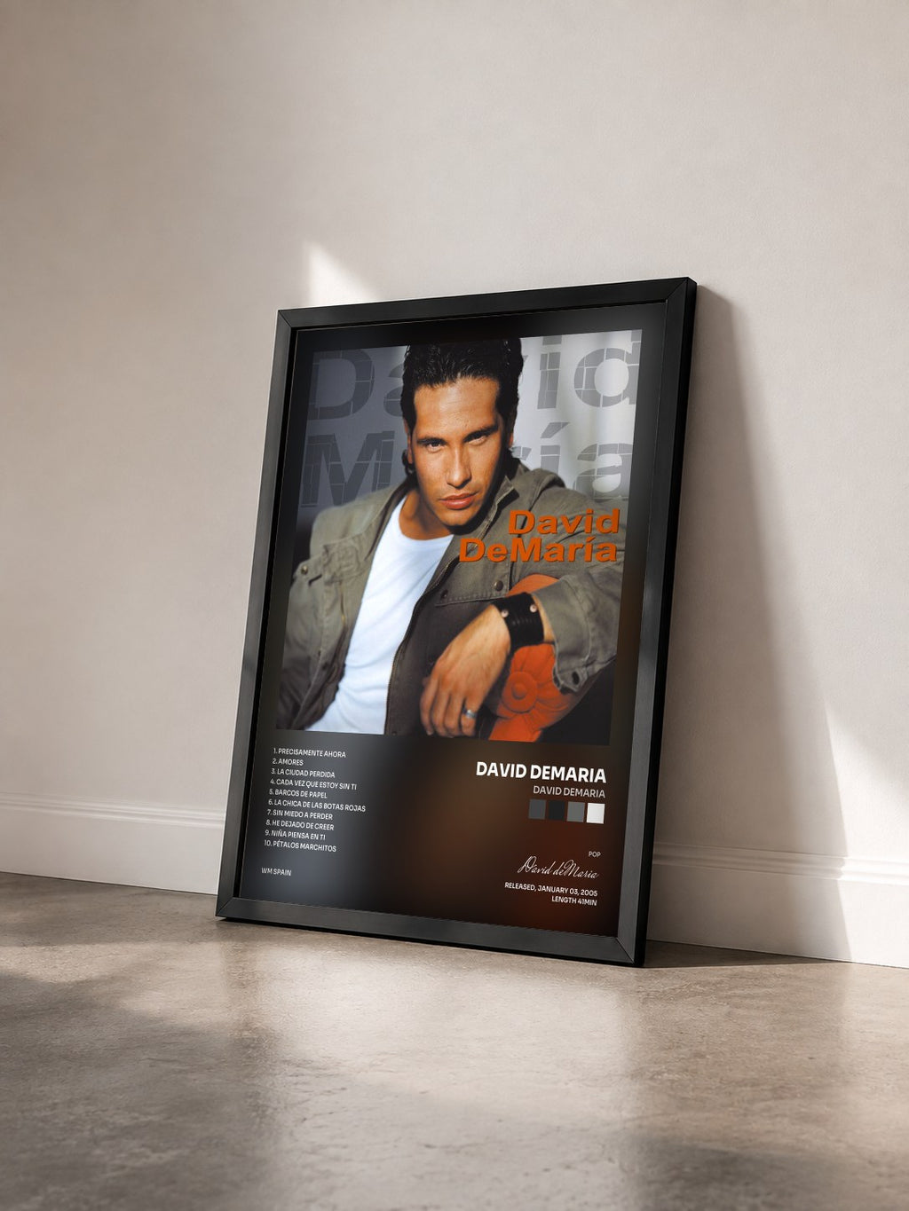 #noir Tableau de l'album David DeMaria de David deMaria vu de trois quarts, cadre noir