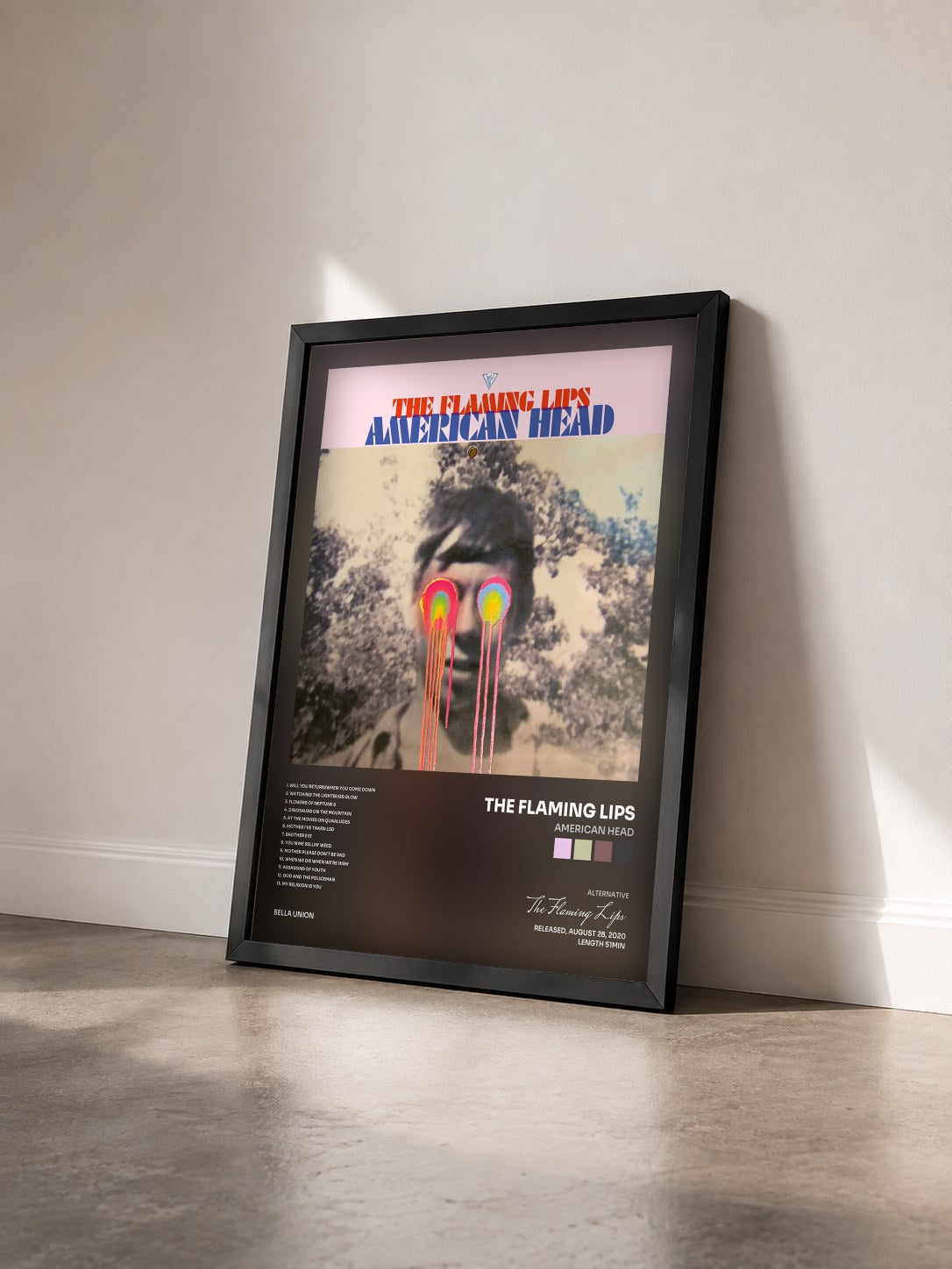 #noir Tableau de l'album American Head de The Flaming Lips vu de trois quarts, cadre noir