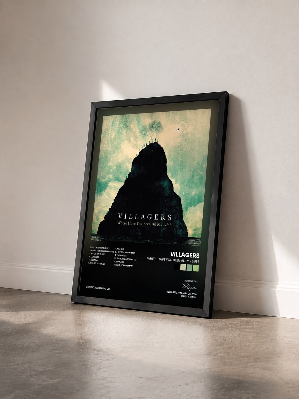 #noir Tableau de l'album Where Have You Been All My Life? de Villagers vu de trois quarts, cadre noir