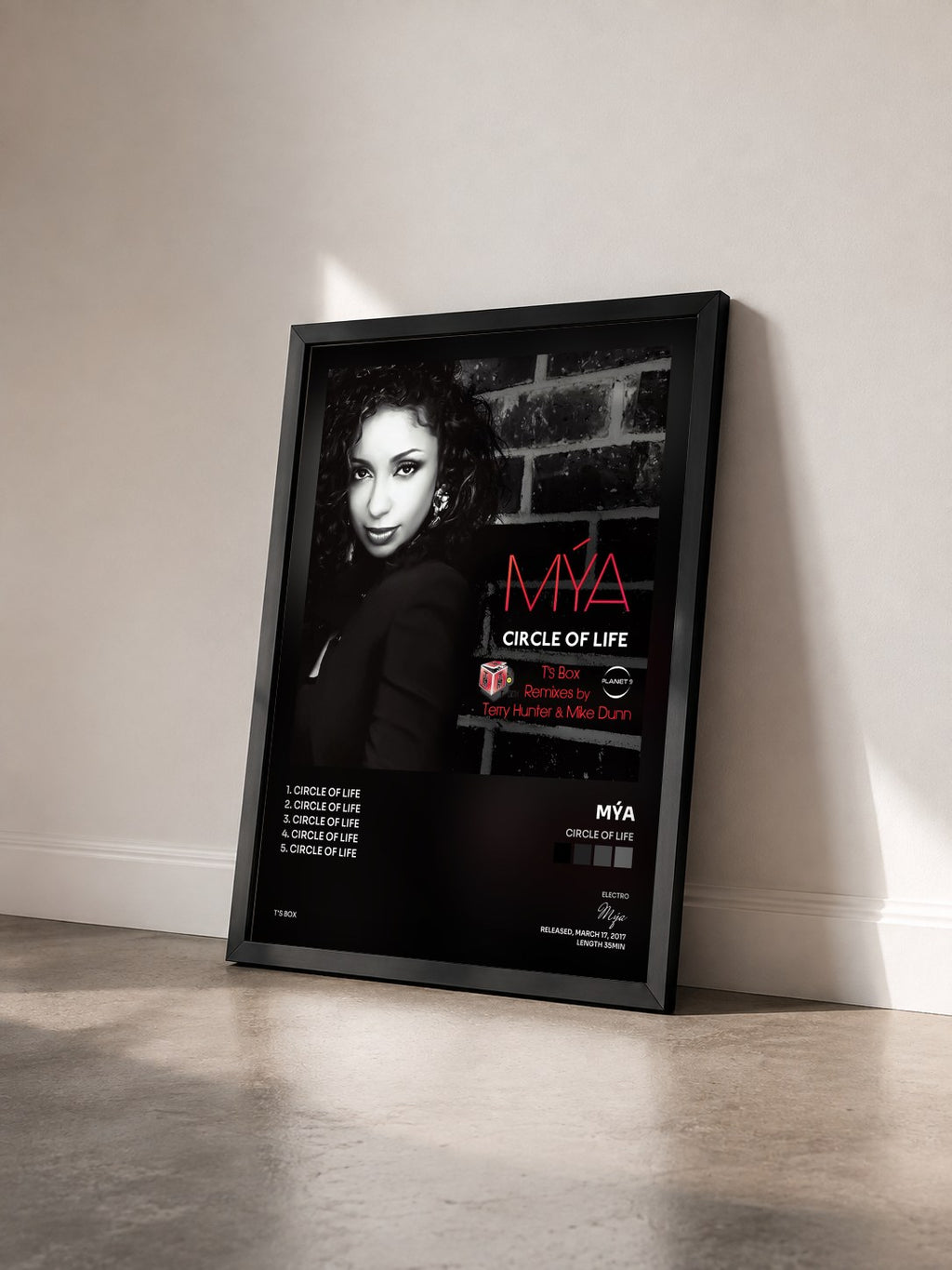#noir Tableau de l'album Circle Of Life de Mýa vu de trois quarts, cadre noir