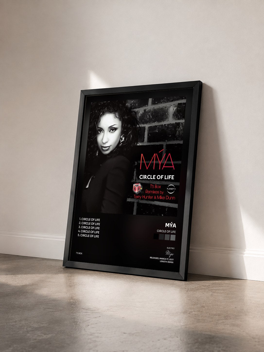 #noir Tableau de l'album Circle Of Life de Mýa vu de trois quarts, cadre noir