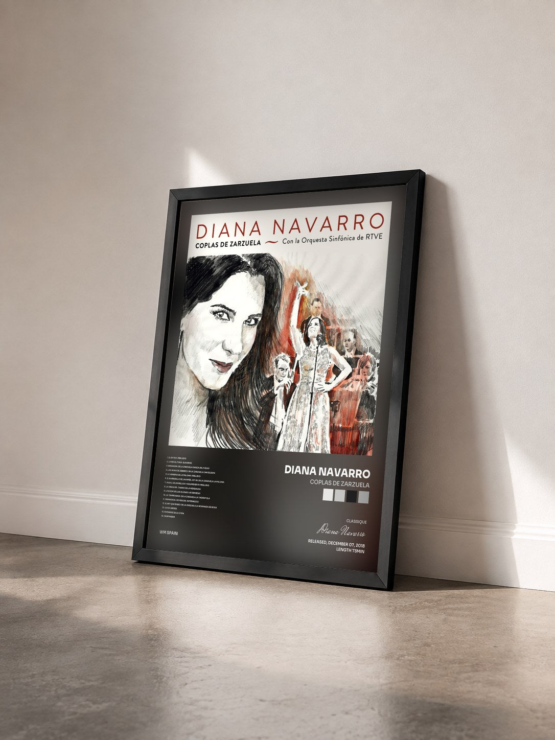 #noir Tableau de l'album Coplas de Zarzuela de Diana Navarro vu de trois quarts, cadre noir
