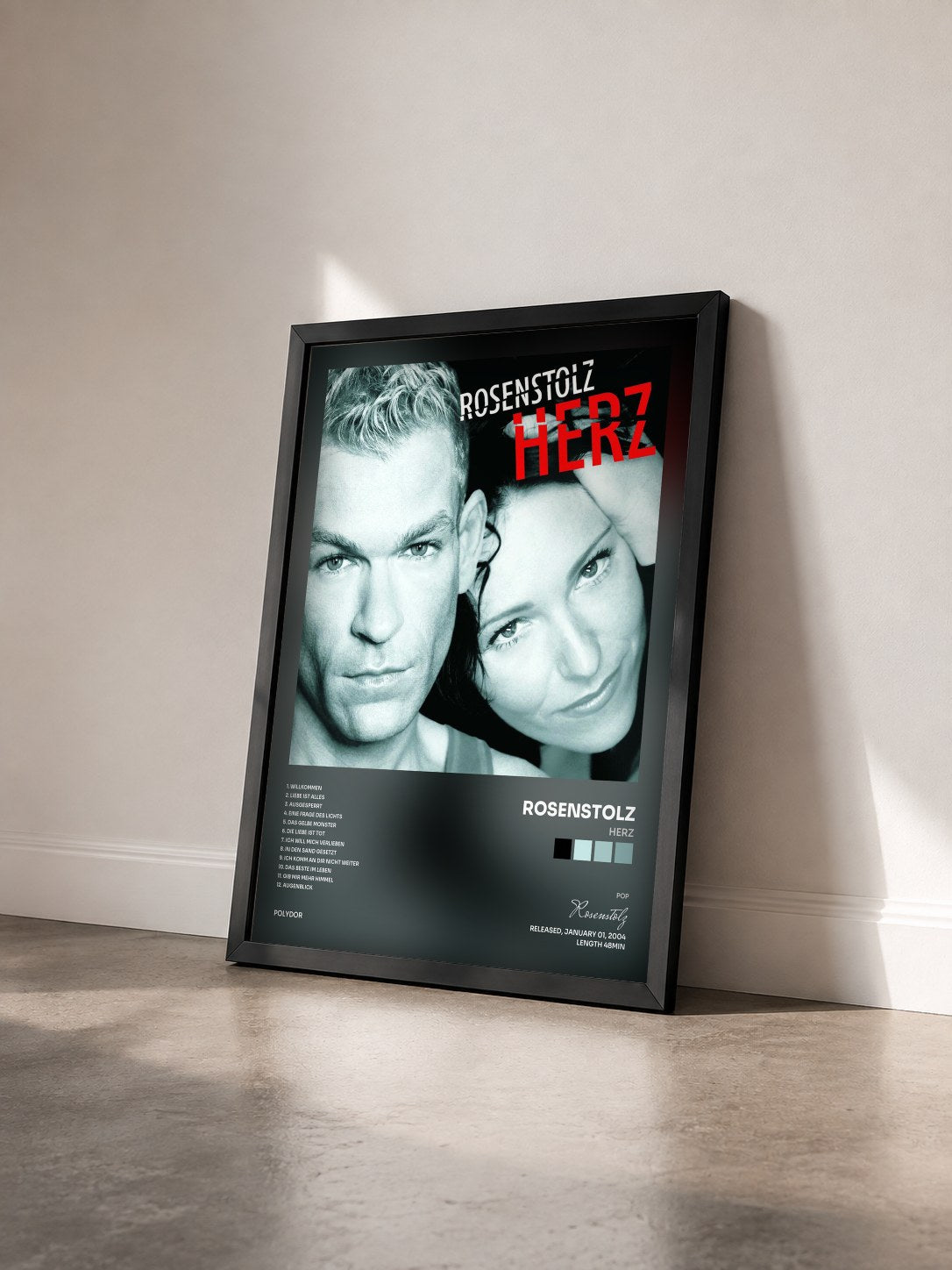 #noir Tableau de l'album Herz de Rosenstolz vu de trois quarts, cadre noir