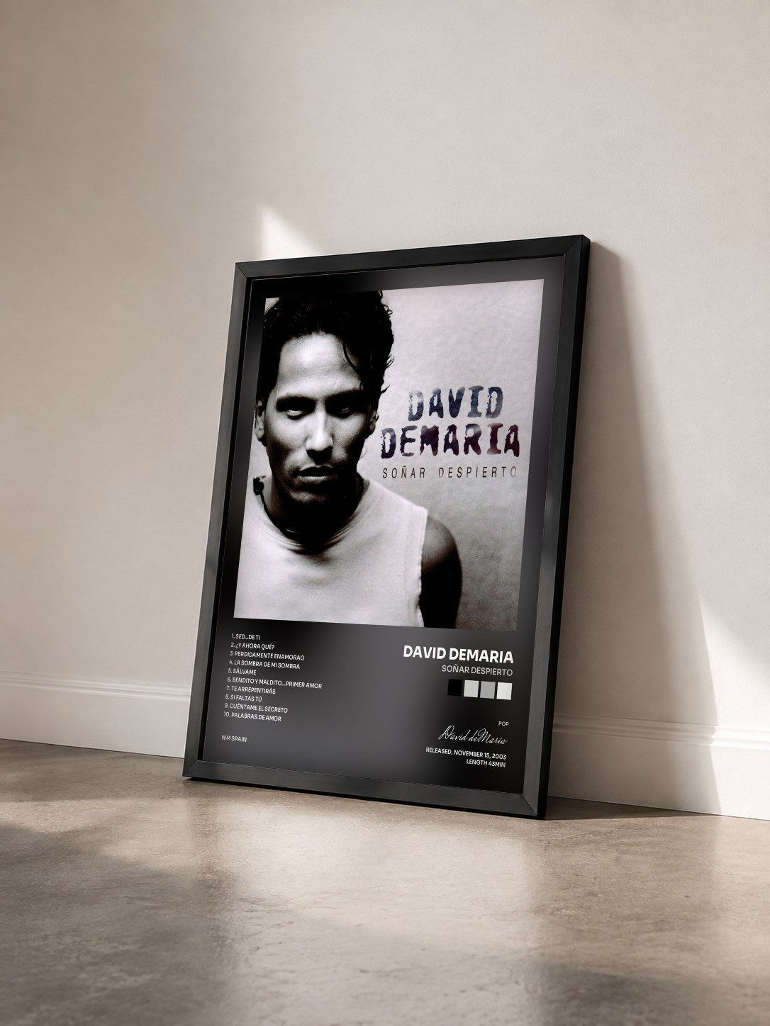 #noir Tableau de l'album Soñar despierto de David deMaria vu de trois quarts, cadre noir