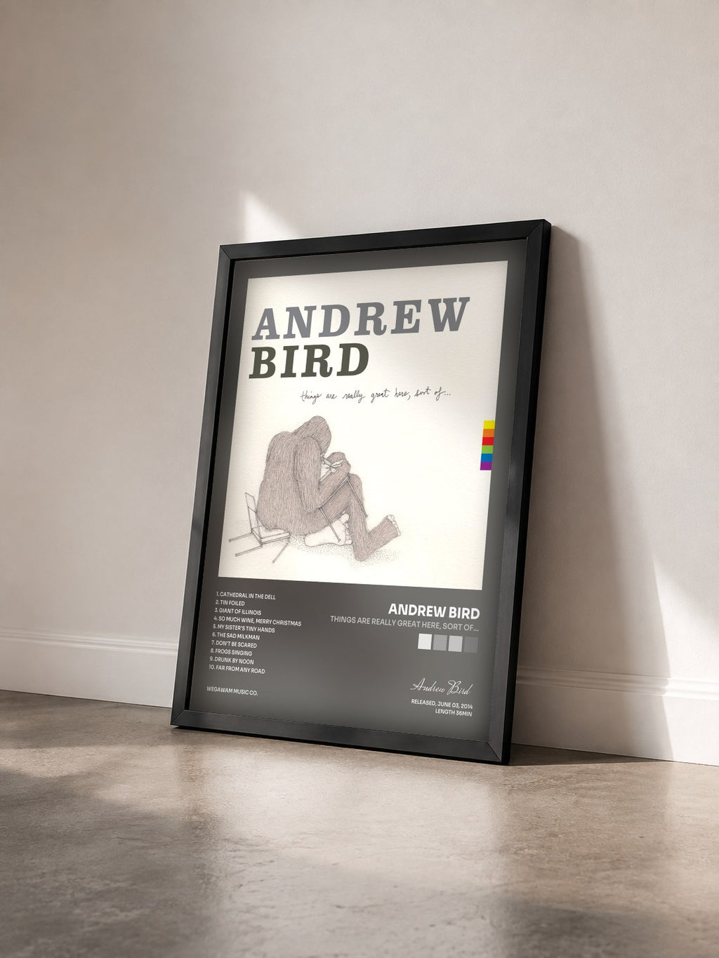 #noir Tableau de l'album Things Are Really Great Here, Sort Of... de Andrew Bird vu de trois quarts, cadre noir