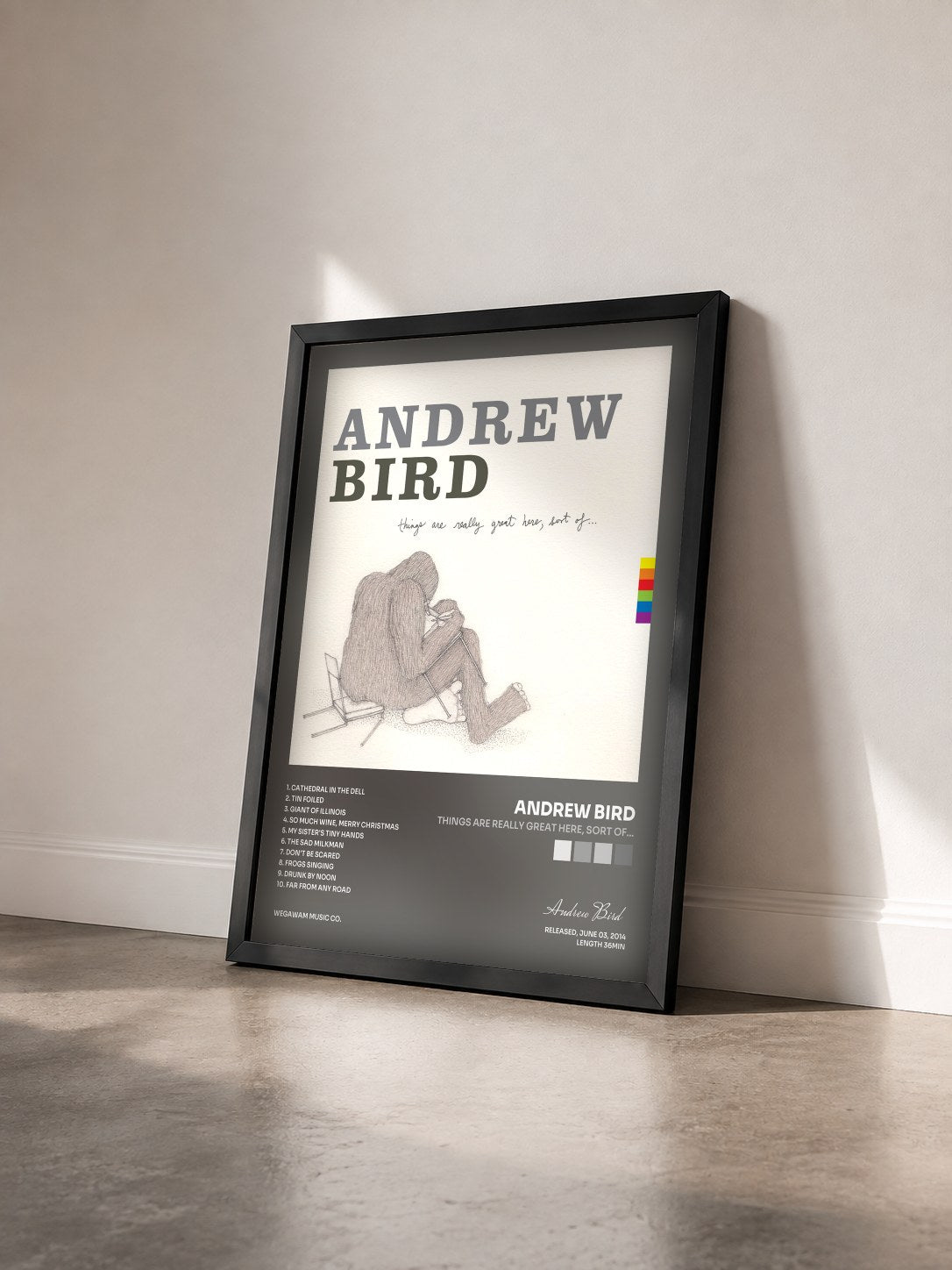 #noir Tableau de l'album Things Are Really Great Here, Sort Of... de Andrew Bird vu de trois quarts, cadre noir