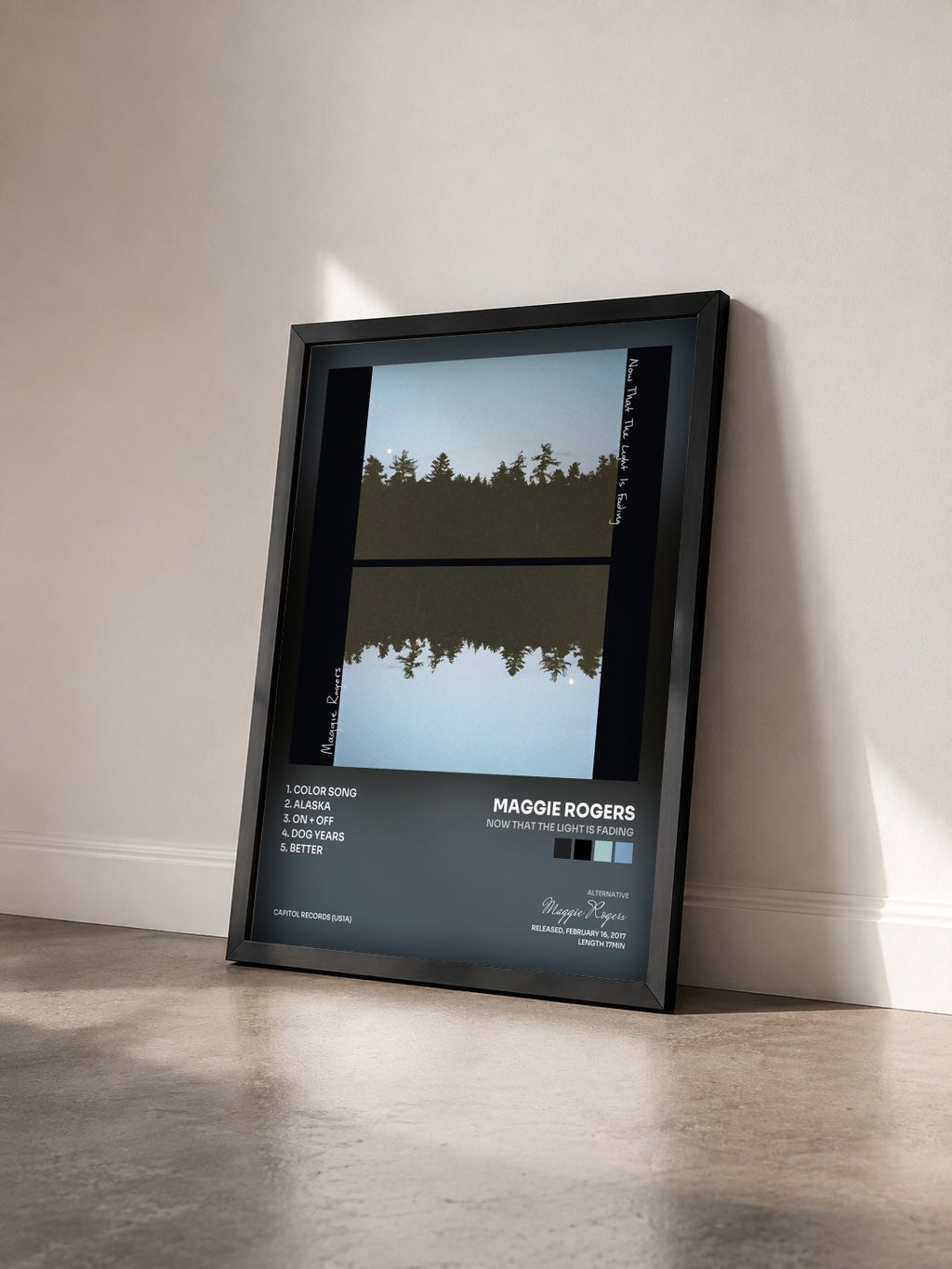 #noir Tableau de l'album Now That The Light Is Fading de Maggie Rogers vu de trois quarts, cadre noir