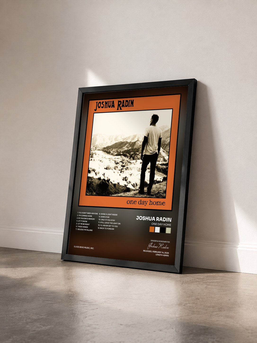 #noir Tableau de l'album ONE DAY HOME de Joshua Radin vu de trois quarts, cadre noir