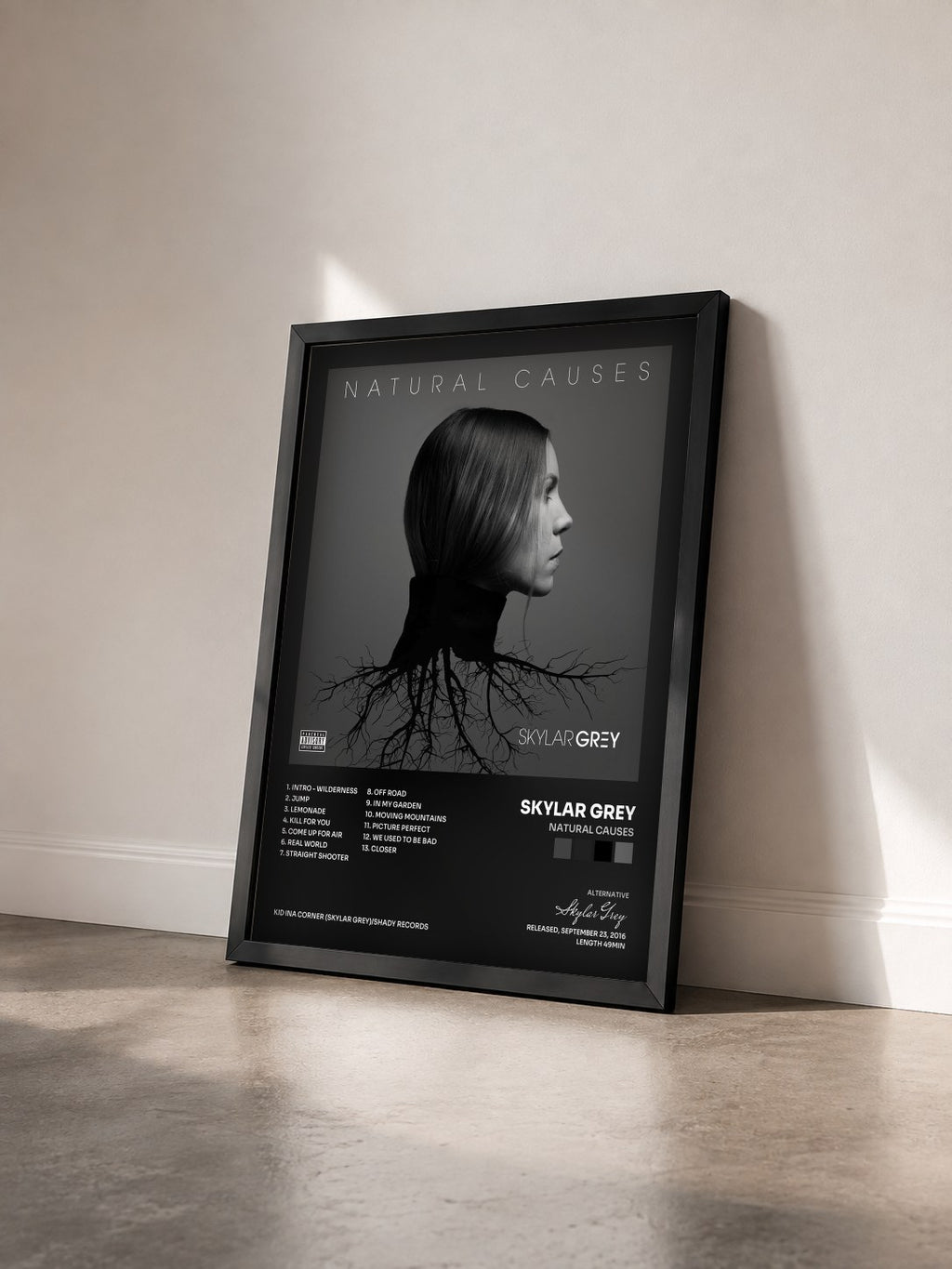 #noir Tableau de l'album Natural Causes de Skylar Grey vu de trois quarts, cadre noir