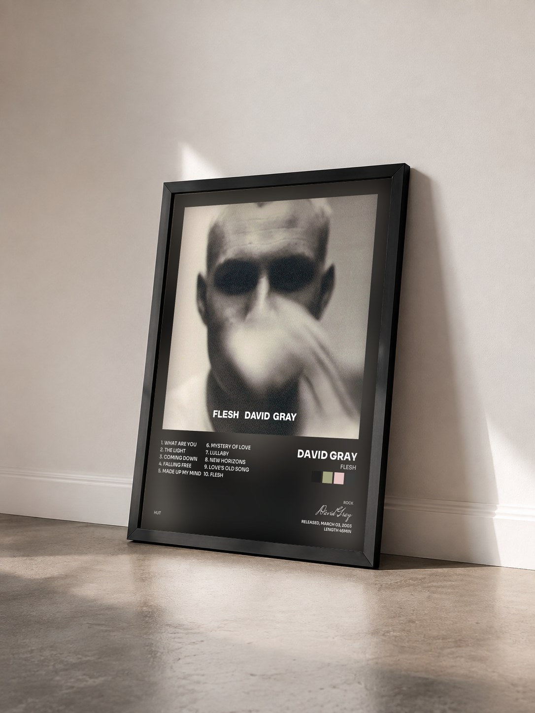 #noir Tableau de l'album Flesh de David Gray vu de trois quarts, cadre noir