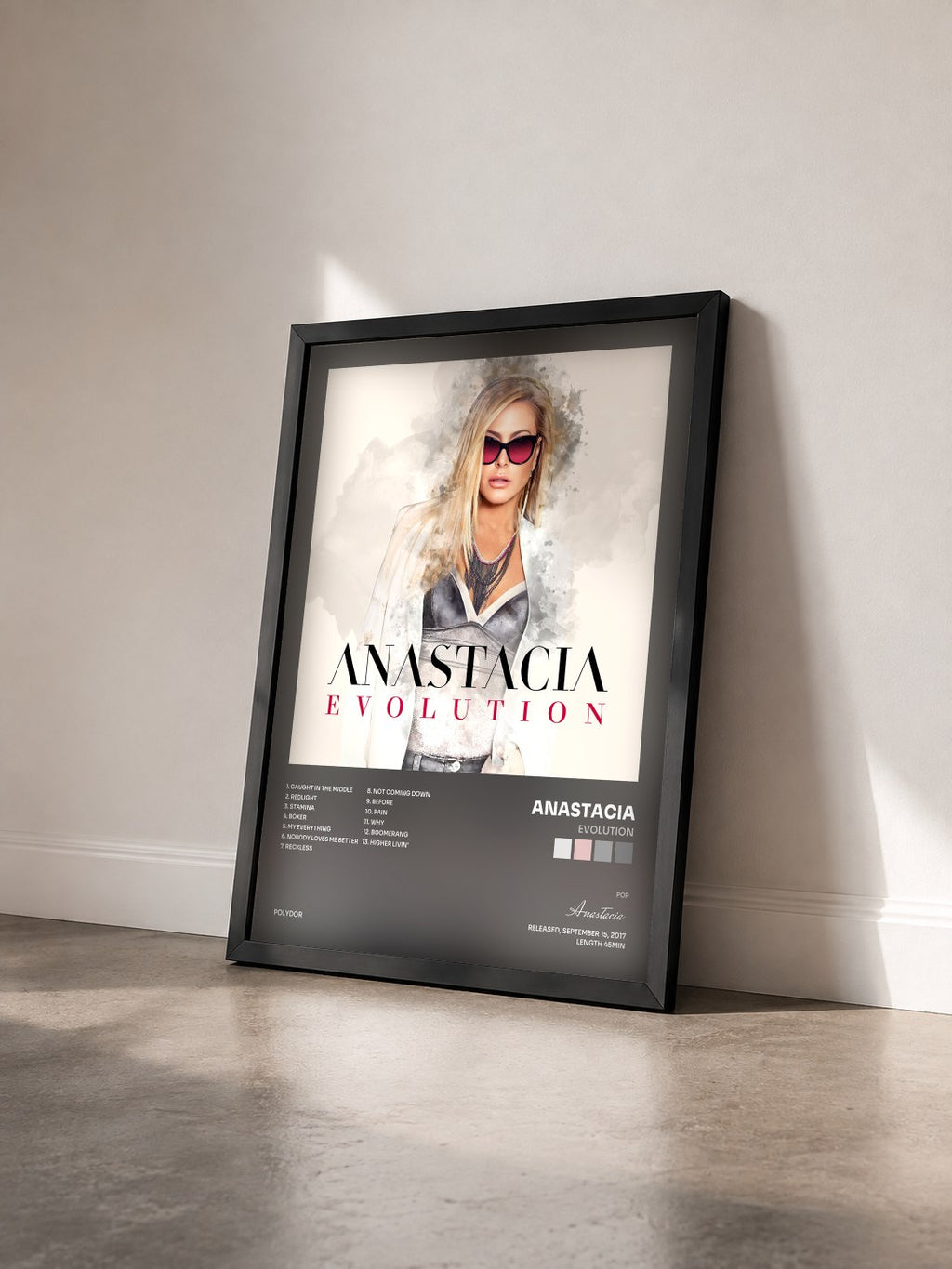 #noir Tableau de l'album Evolution de Anastacia vu de trois quarts, cadre noir